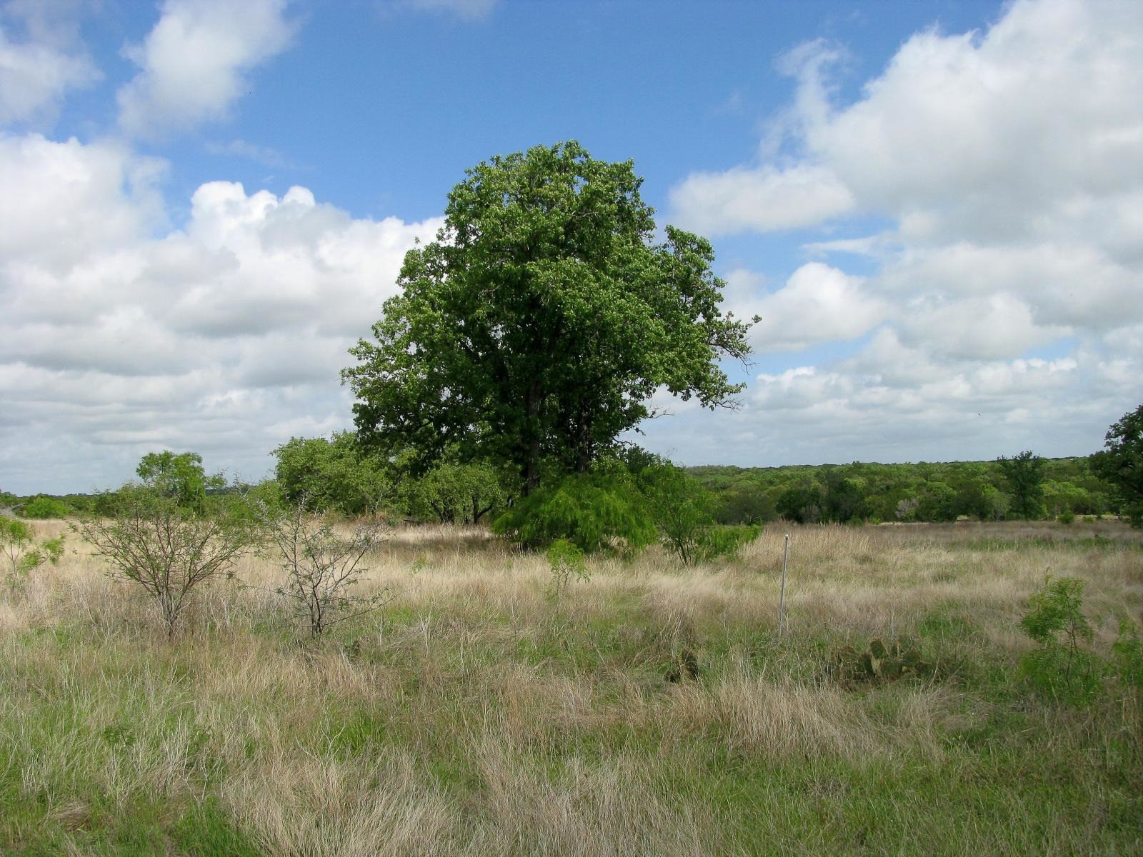 Lot 73 & 74 Ph 6 Pr 42103 Evant TX 76525