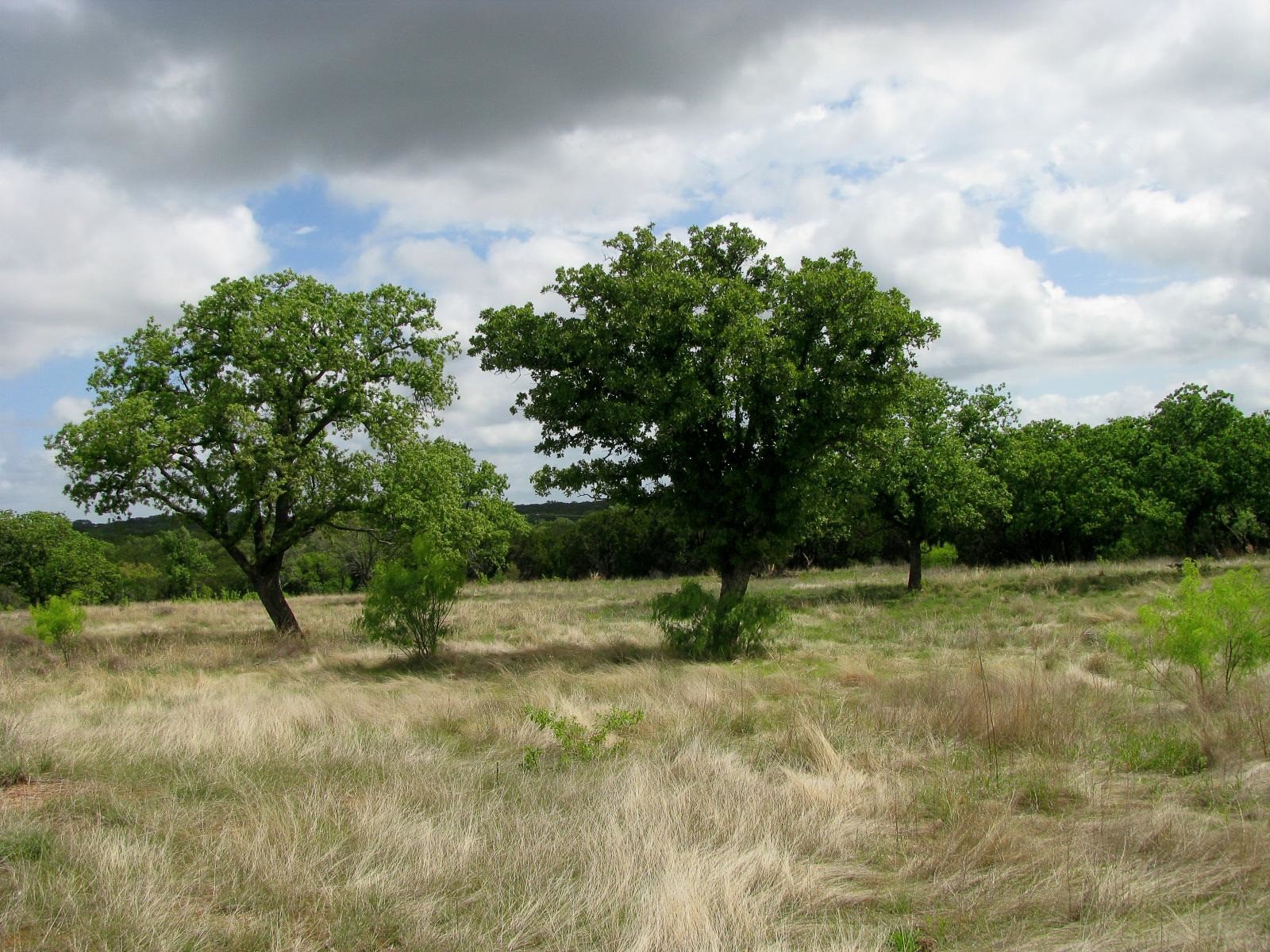 Lot 73 & 74 Ph 6 Pr 42103 Evant TX 76525