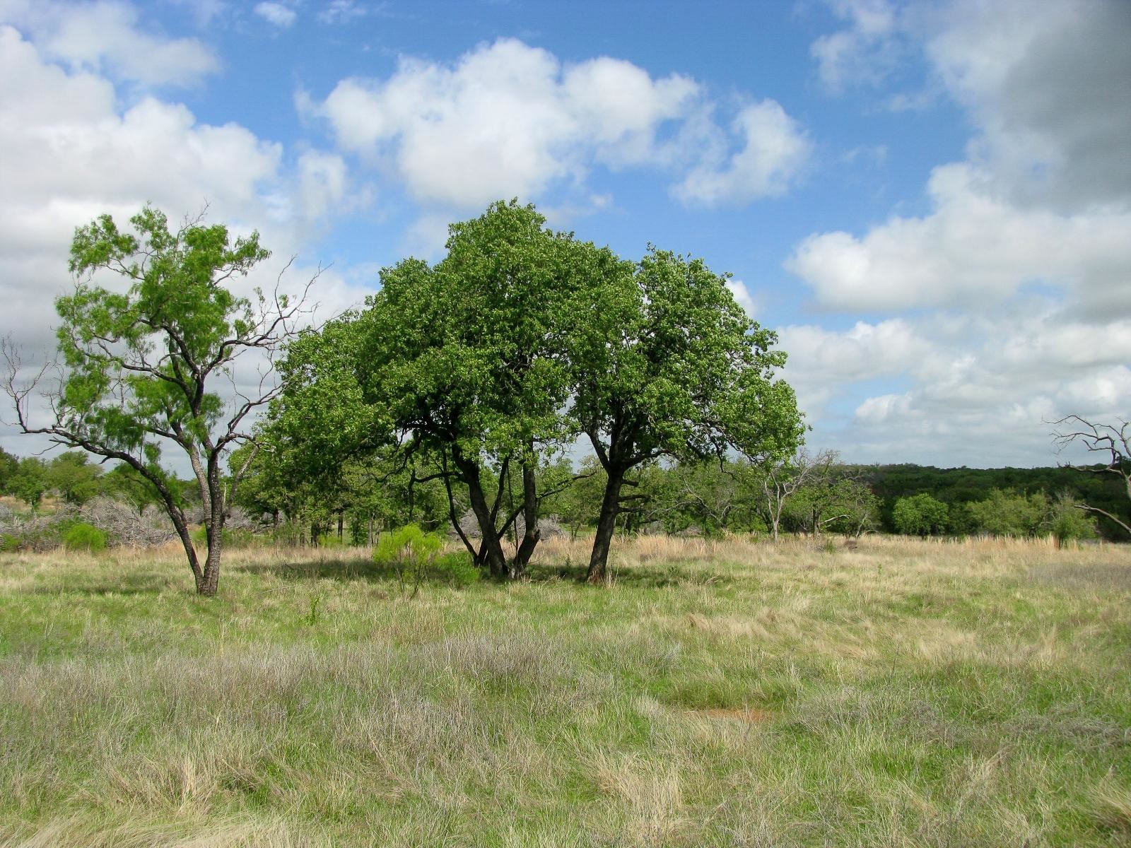 Lot 73 & 74 Ph 6 Pr 42103 Evant TX 76525
