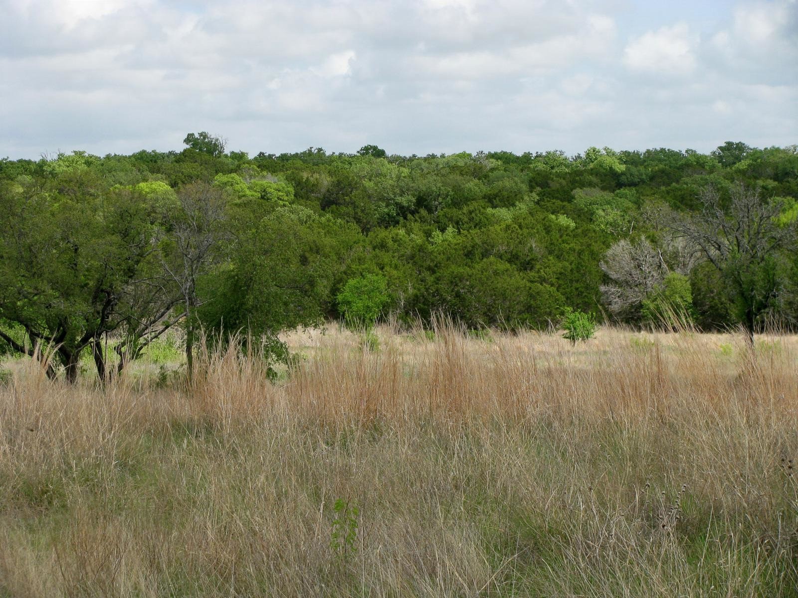Lot 73 & 74 Ph 6 Pr 42103 Evant TX 76525