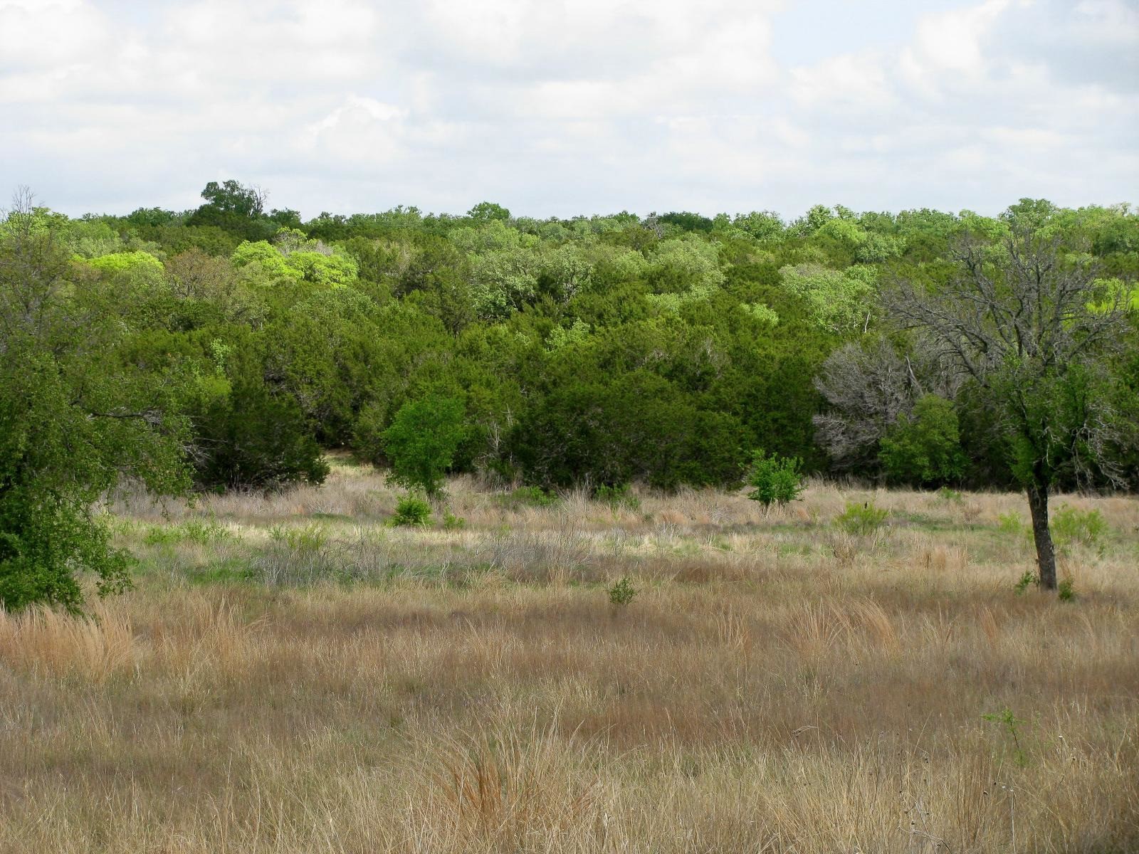 Lot 73 & 74 Ph 6 Pr 42103 Evant TX 76525