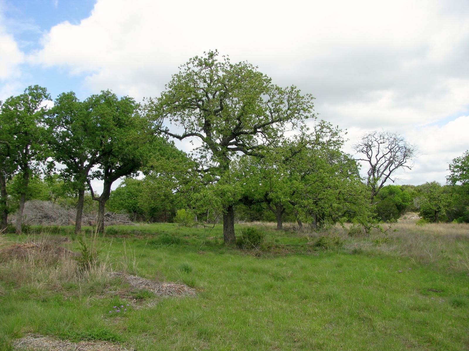 Lot 73 & 74 Ph 6 Pr 42103 Evant TX 76525