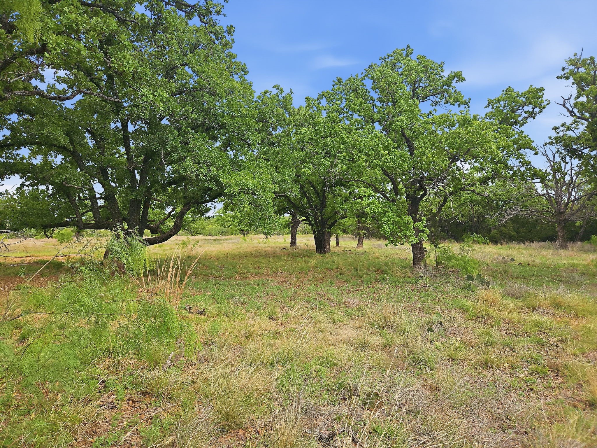 Lot 73 & 74 Ph 6 Pr 42103 Evant TX 76525
