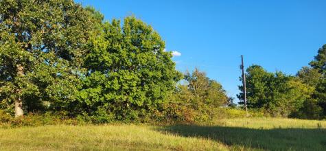 19189 County Road 443 Lindale TX 75771