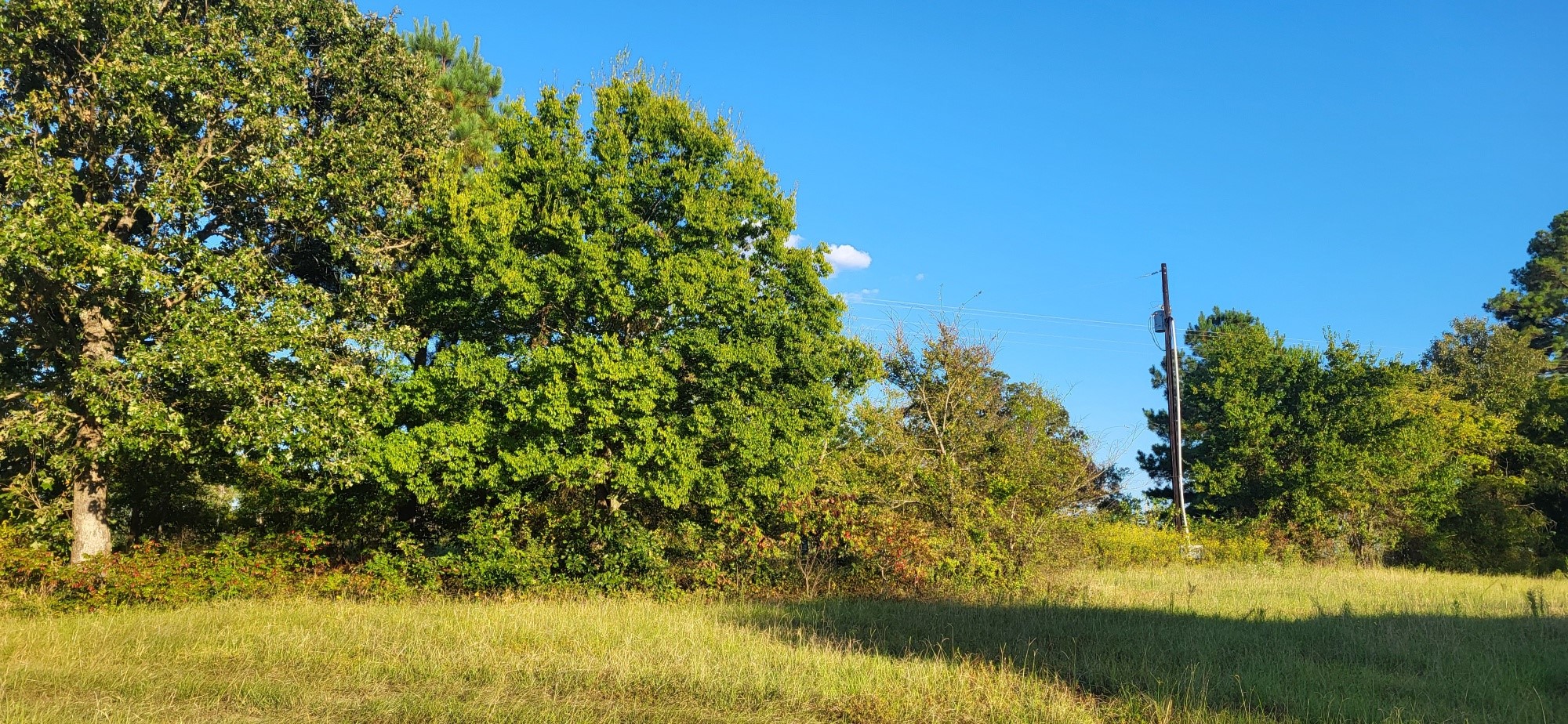 19189 County Road 443 Lindale TX 75771
