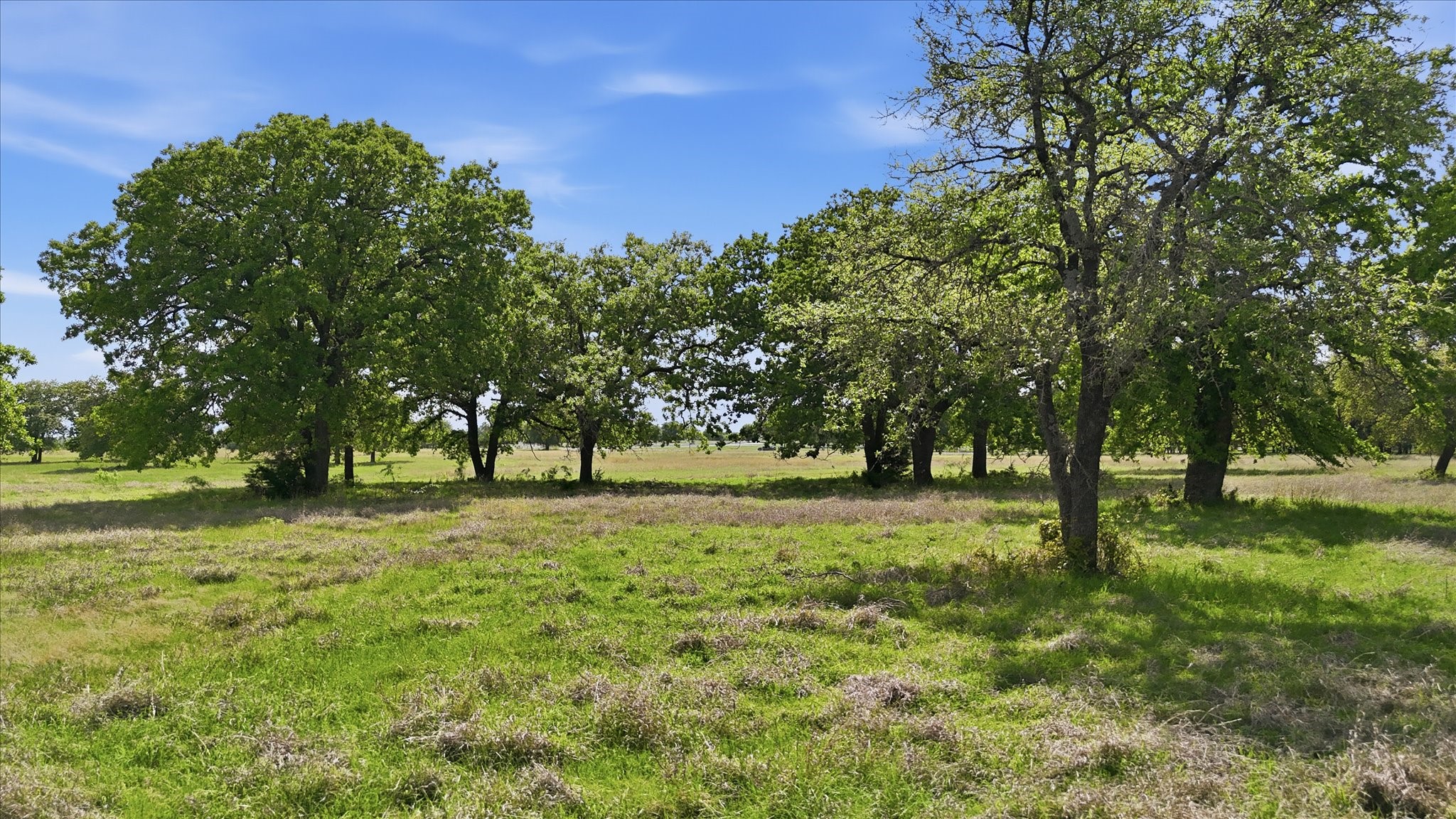 400 River Ranch Road Aledo TX 76008