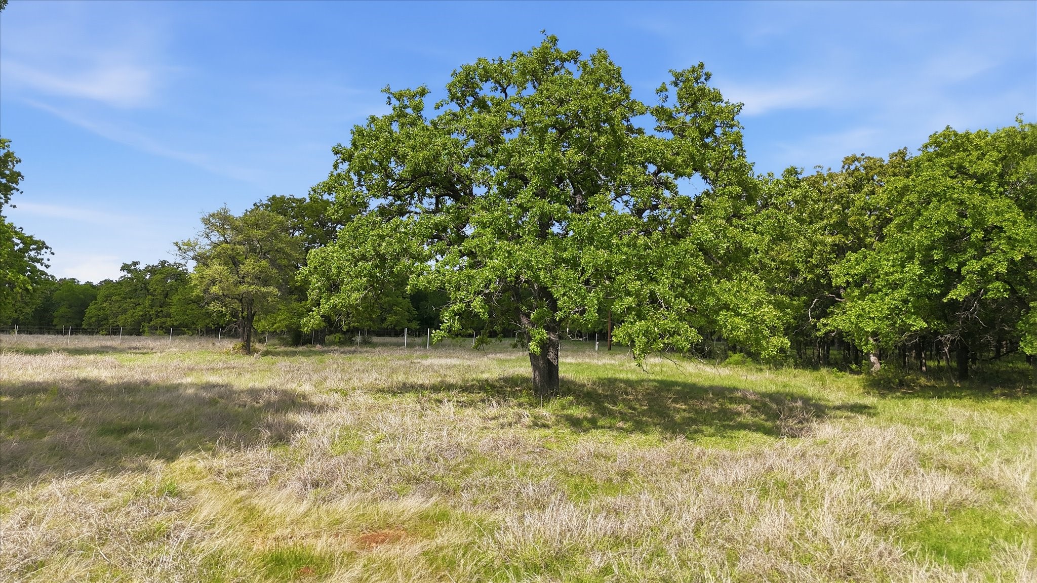400 River Ranch Road Aledo TX 76008