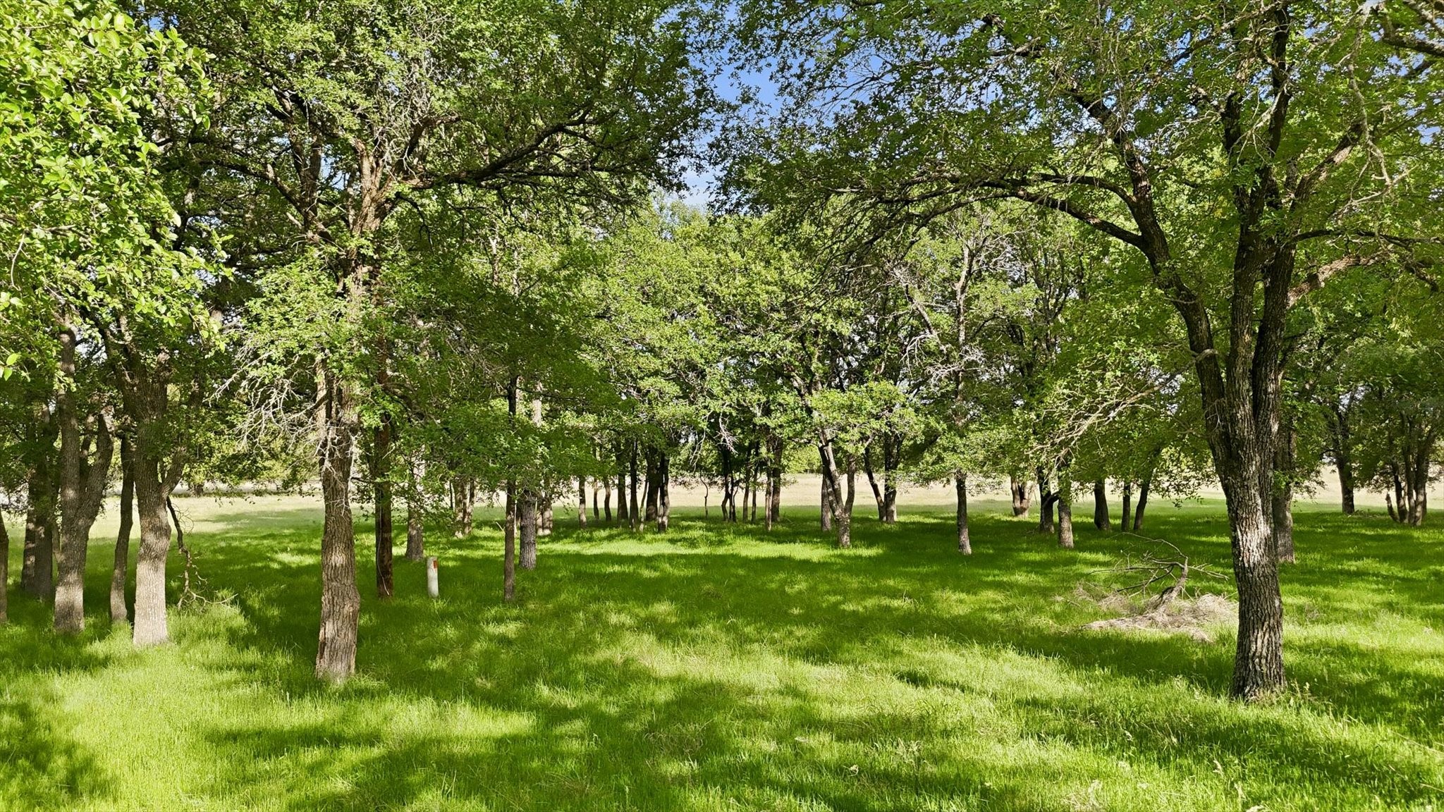 400 River Ranch Road Aledo TX 76008