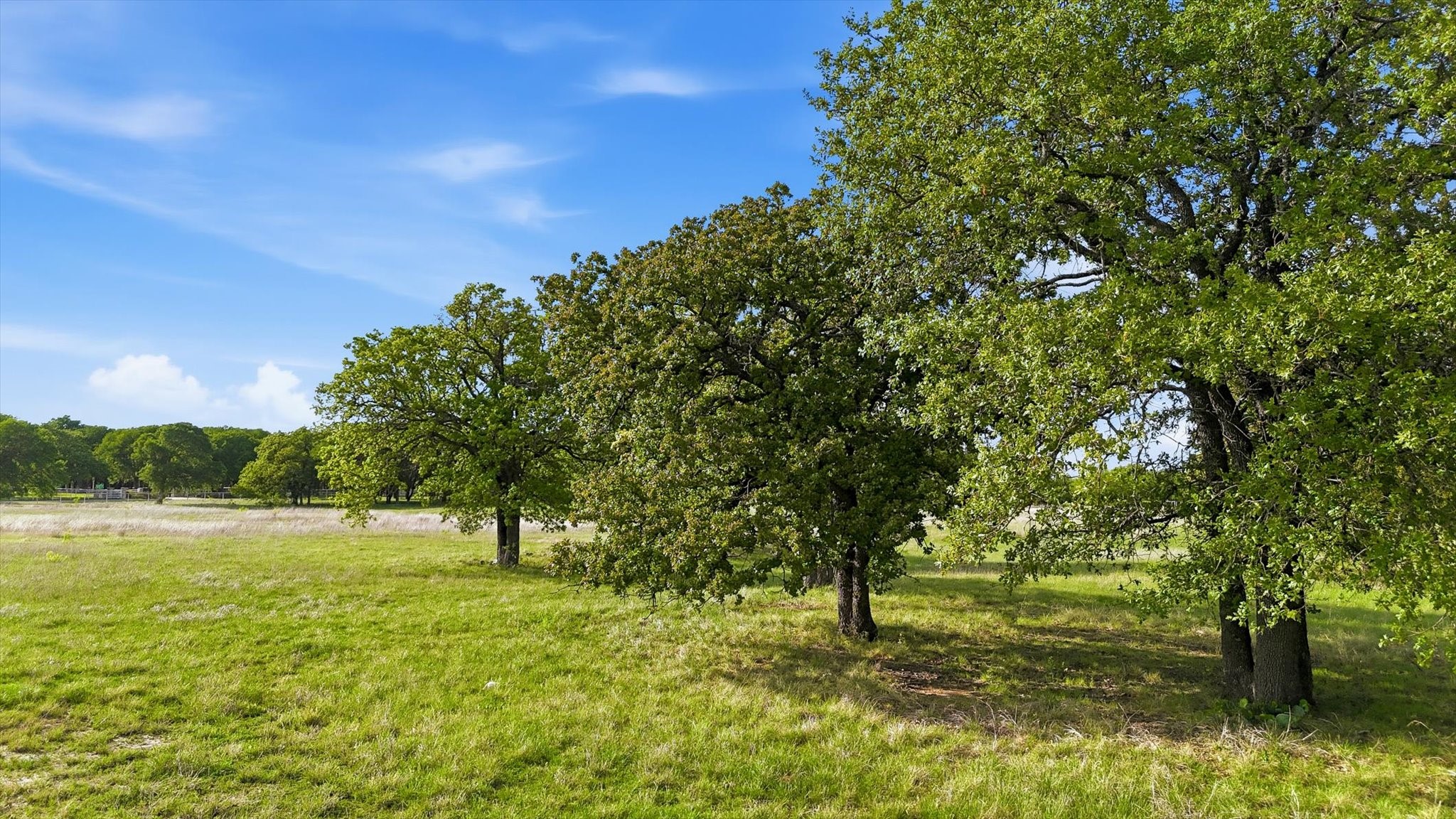 400 River Ranch Road Aledo TX 76008