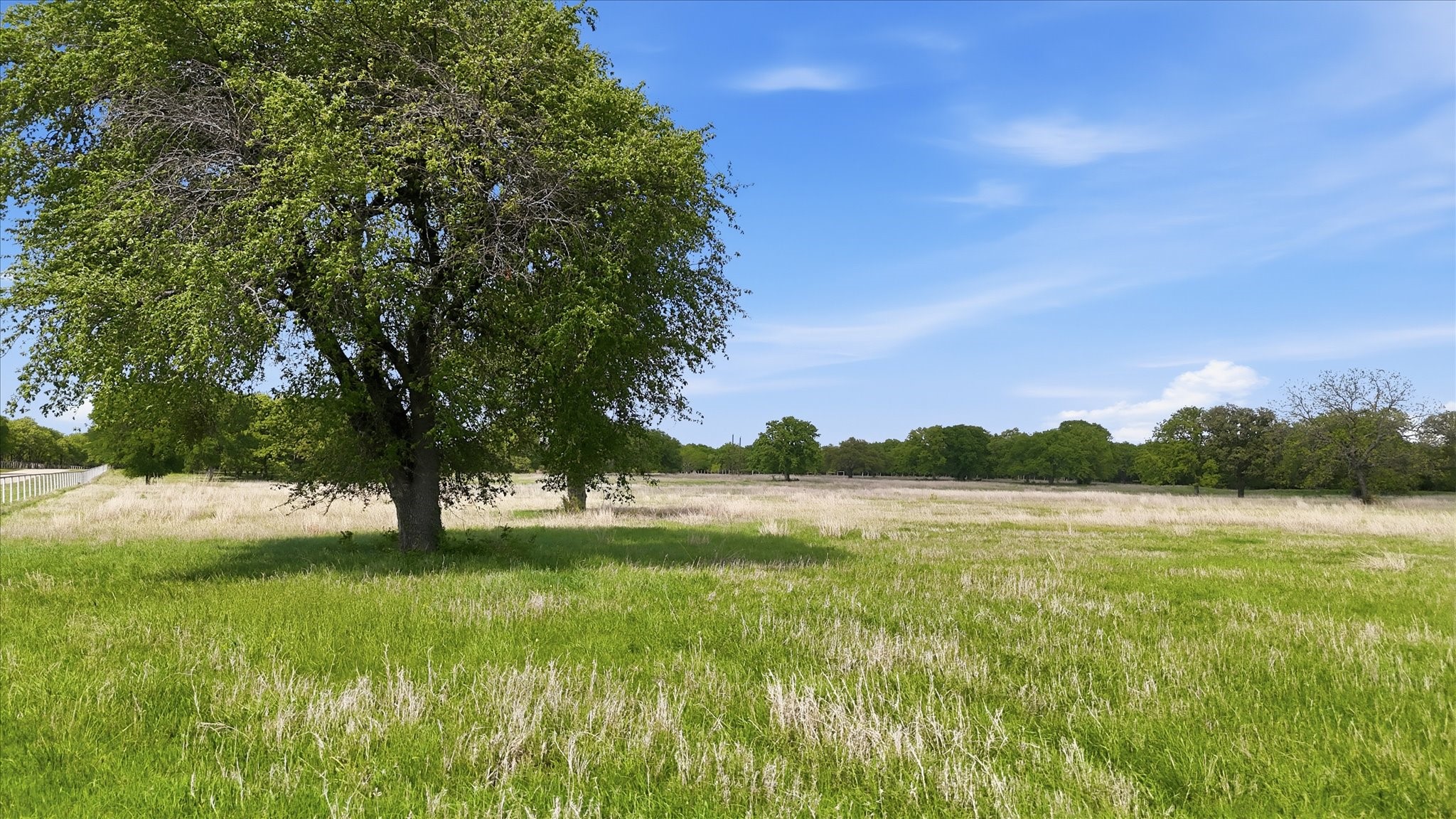 400 River Ranch Road Aledo TX 76008