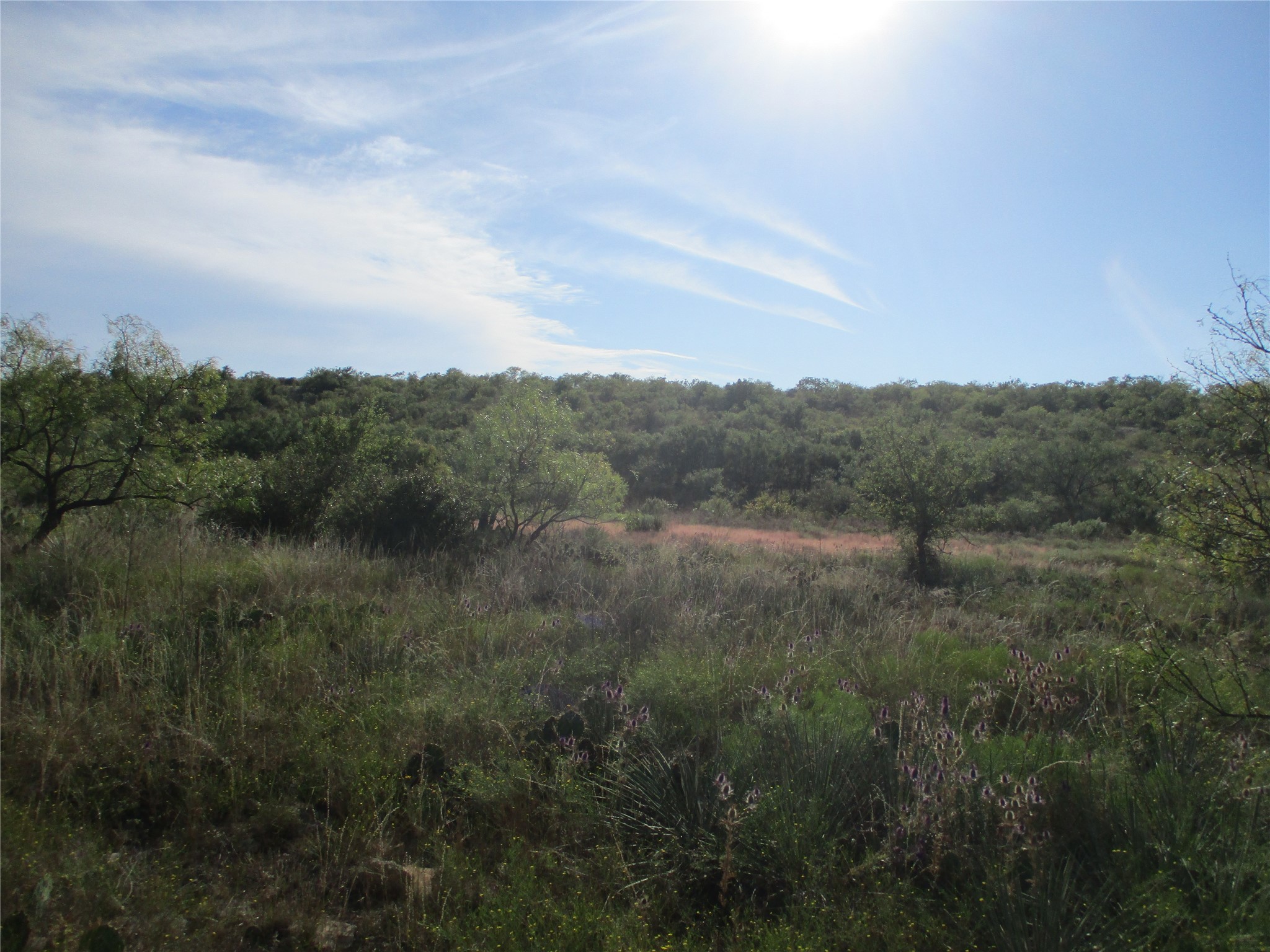 Tbd Cr 467 Cr 467 No City TX 76882