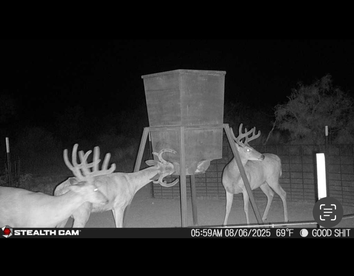 Tbd Cr 467 Cr 467 No City TX 76882