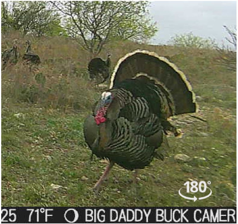 Tbd Cr 467 Cr 467 No City TX 76882