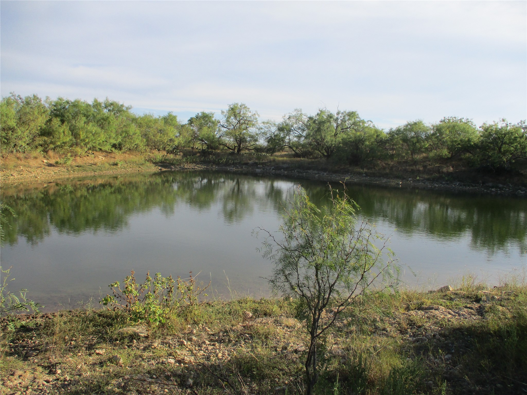 Tbd Cr 467 Cr 467 No City TX 76882