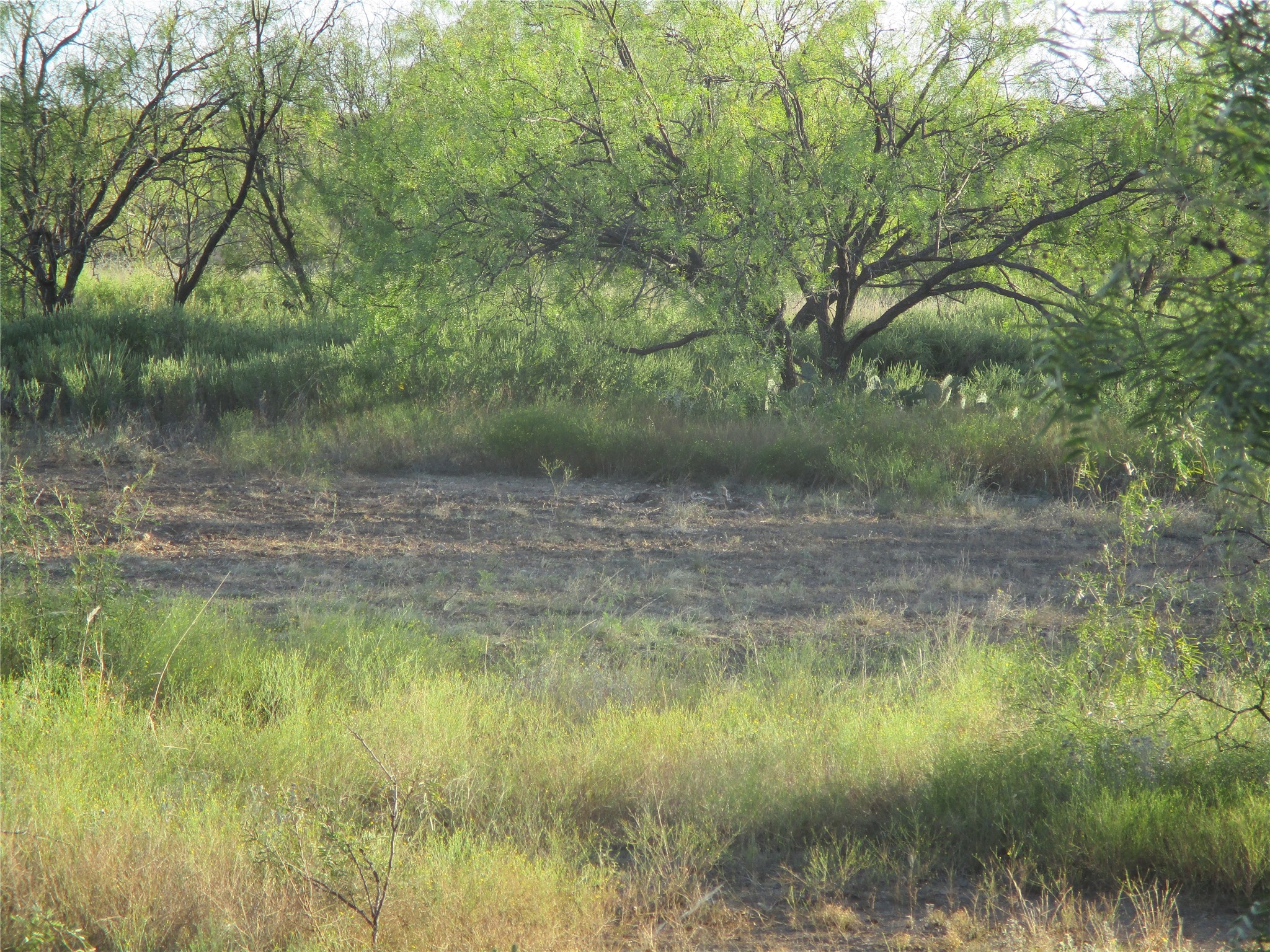 Tbd Cr 467 Cr 467 No City TX 76882