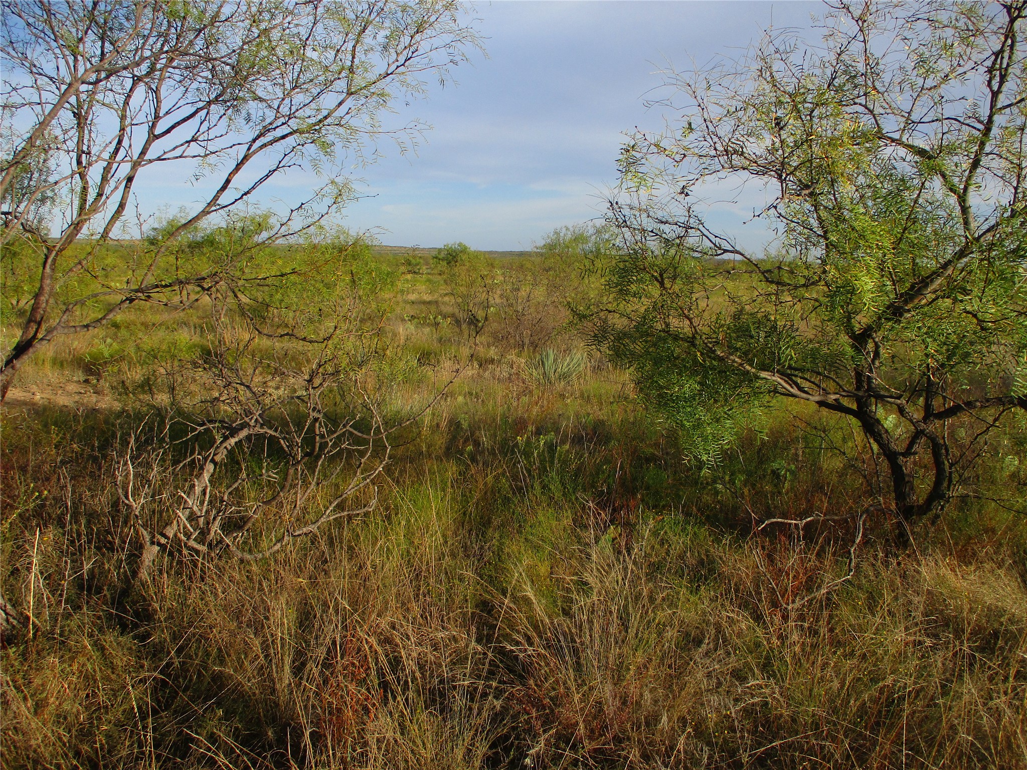 Tbd Cr 467 Cr 467 No City TX 76882