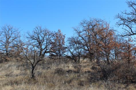 5079 County Road 206 Breckenridge TX 76424
