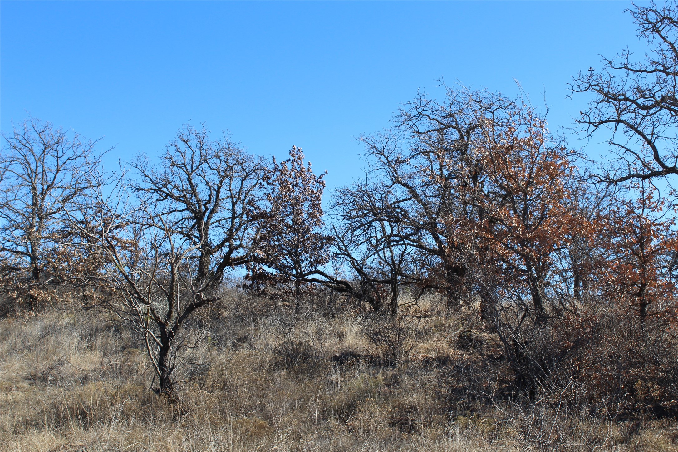 5079 County Road 206 Breckenridge TX 76424