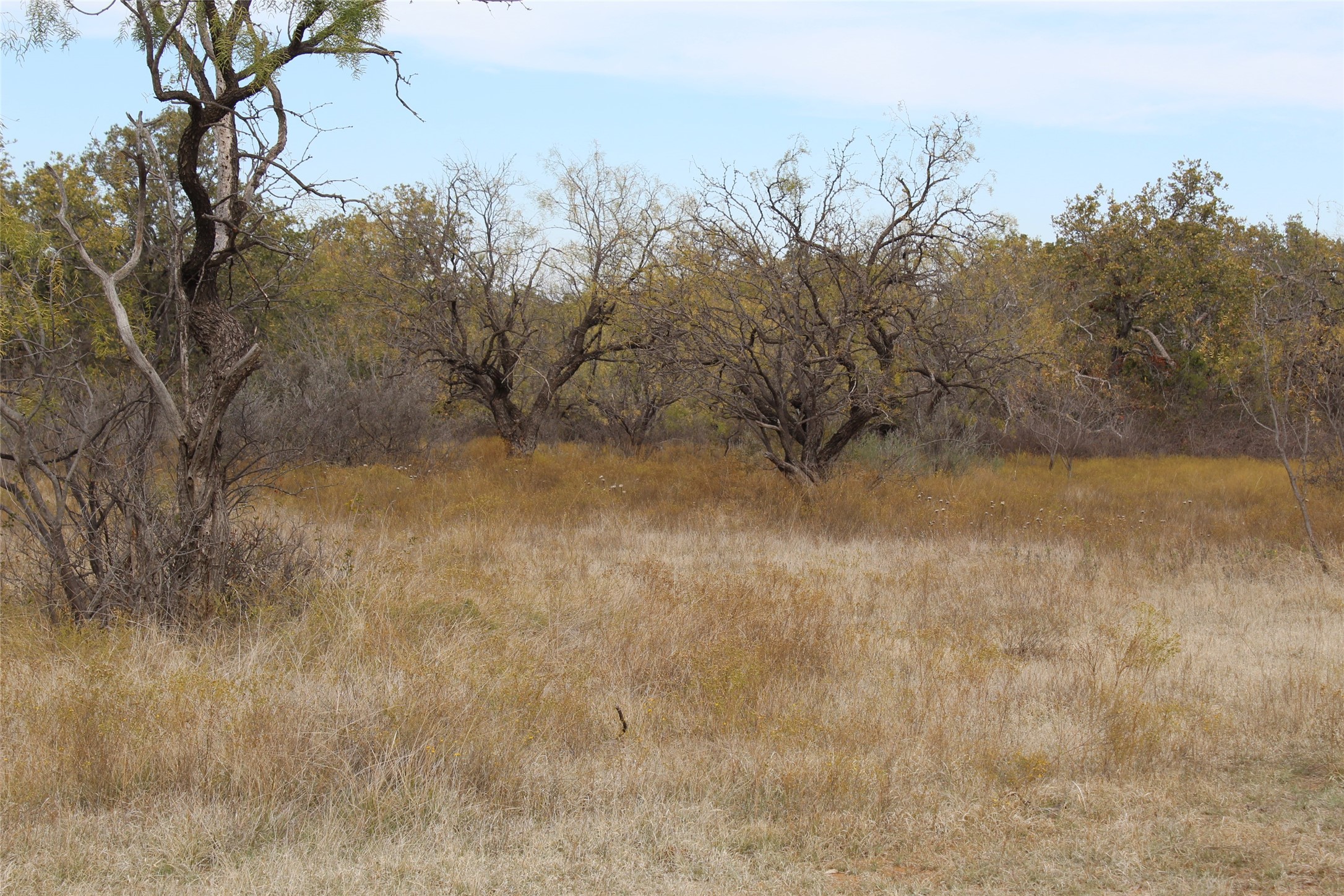 5079 County Road 206 Breckenridge TX 76424