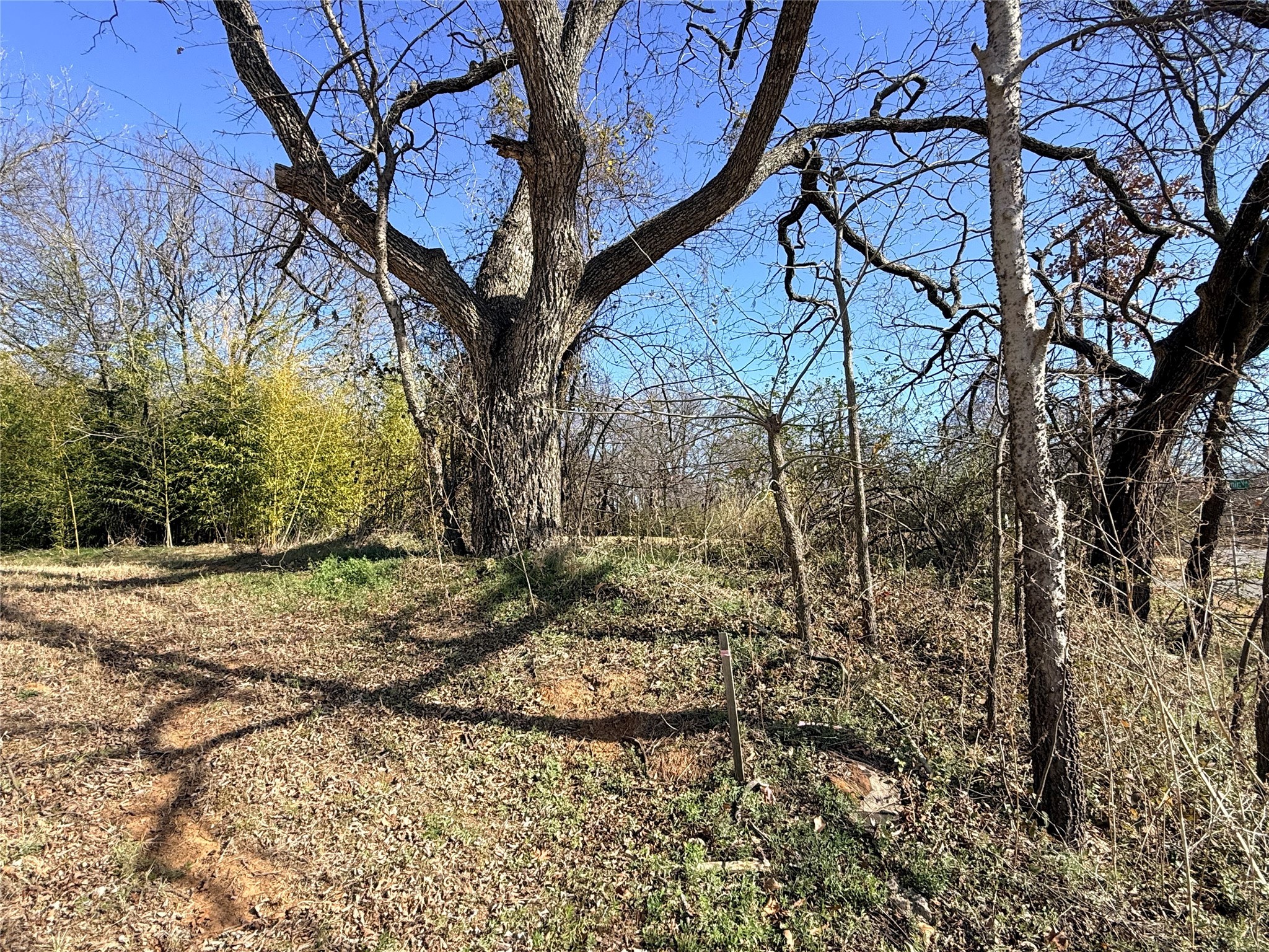 501 W Walker Street Denison TX 75020