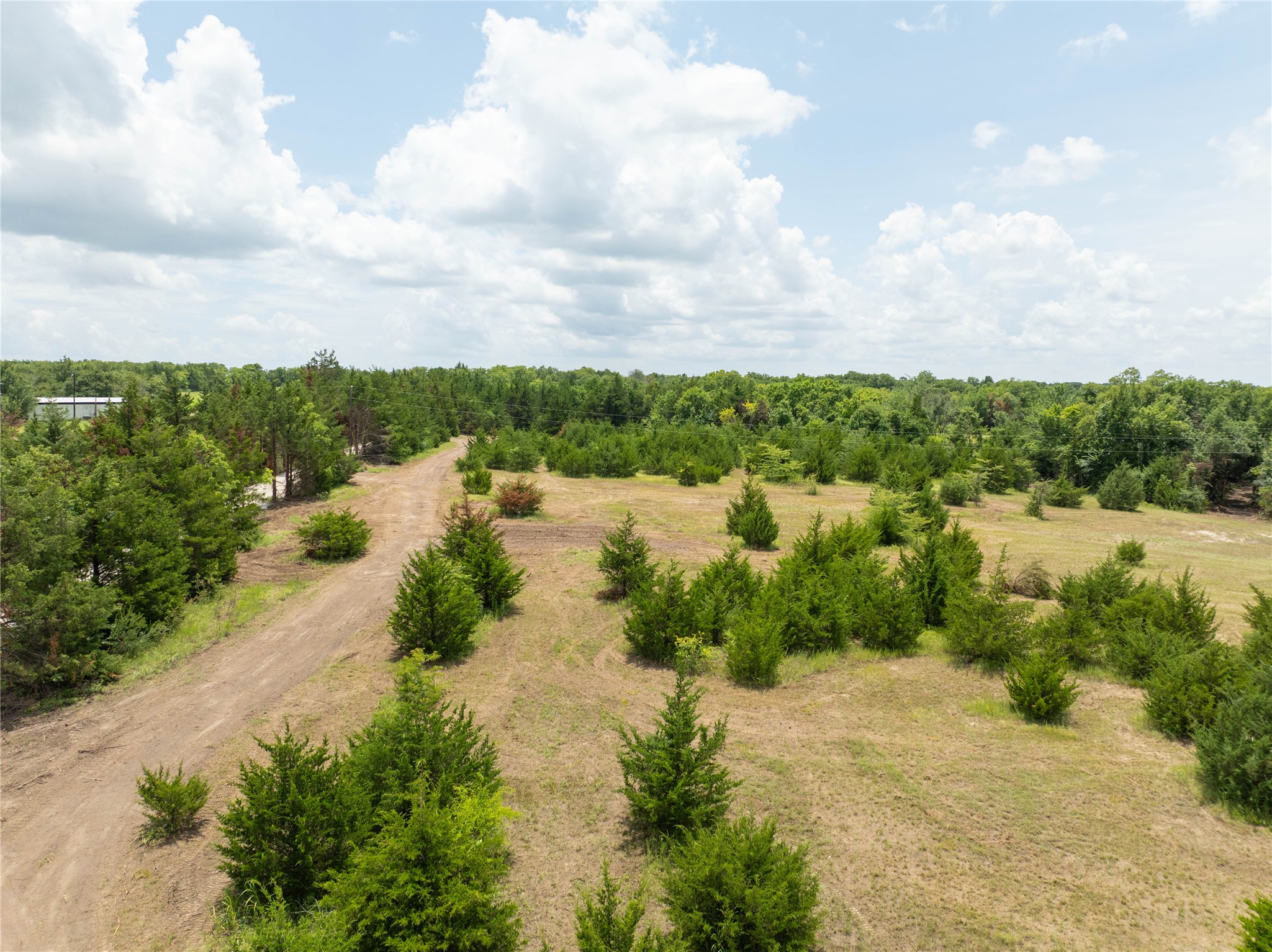 Tbd Tract 4 Cr 2997 Honey Grove TX 75446
