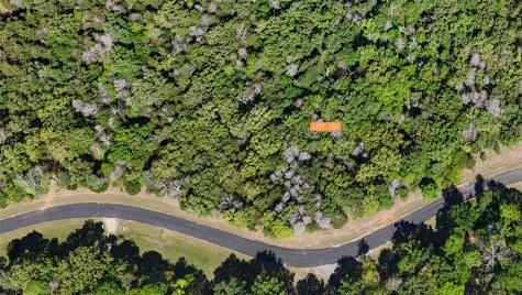 Lot 132 Lincoln Drive Streetman TX 75859