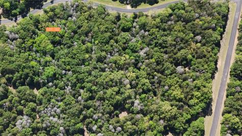 Lot 132 Lincoln Drive Streetman TX 75859