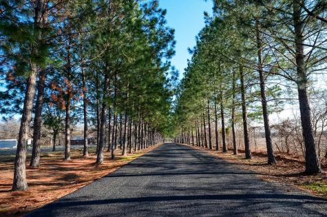 Lot 132 Lincoln Drive Streetman TX 75859