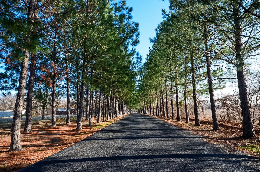 Lot 132 Lincoln Drive Streetman TX 75859