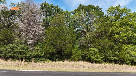 Lot 132 Lincoln Drive Streetman TX 75859