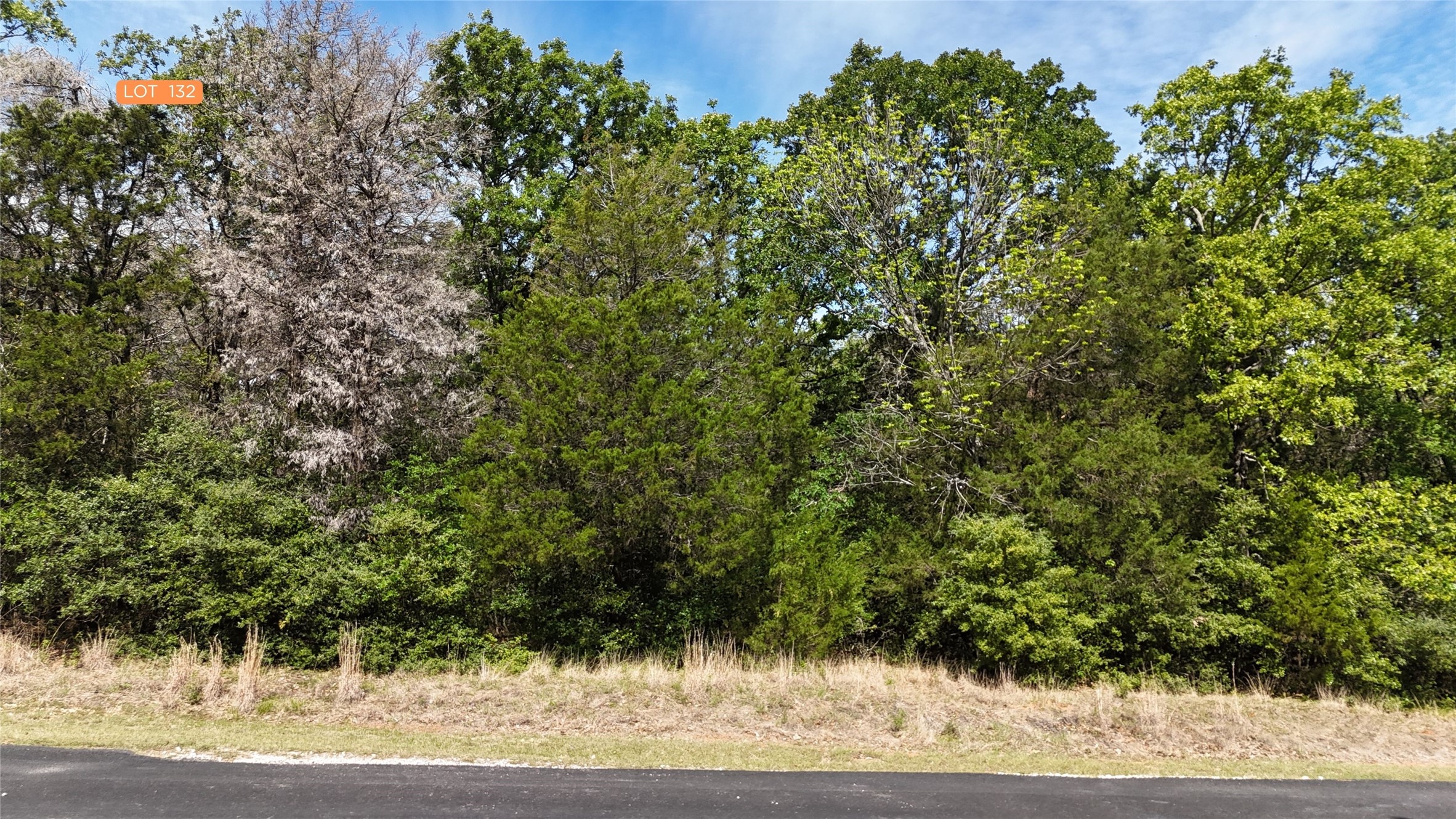 Lot 132 Lincoln Drive Streetman TX 75859