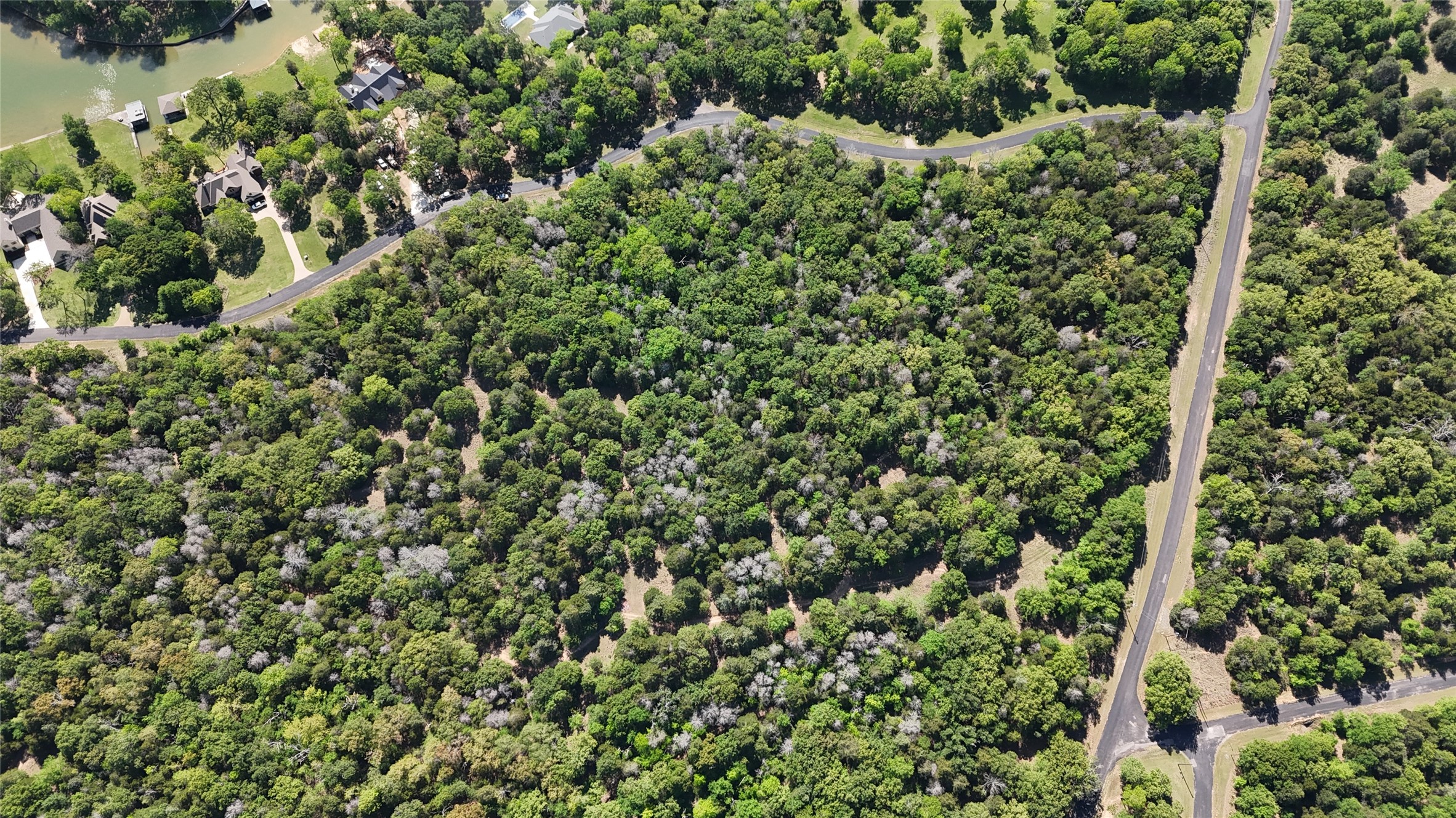 Lot 132 Lincoln Drive Streetman TX 75859