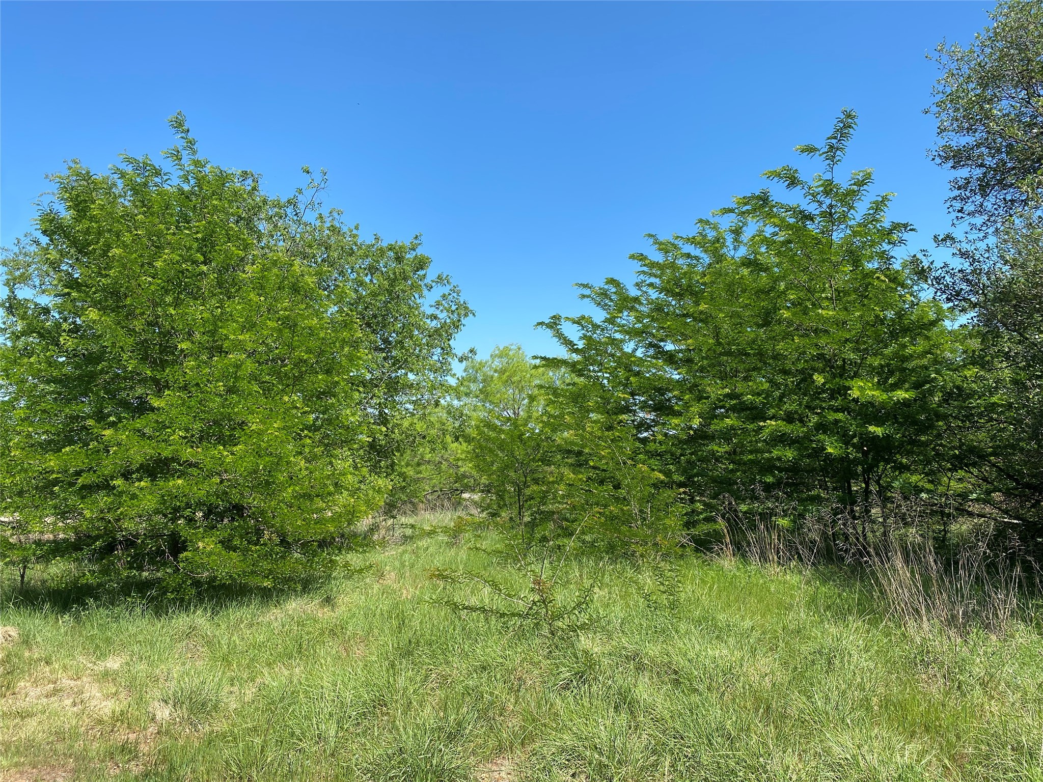 Tbd Miller Creek Lake Road Paradise TX 76073