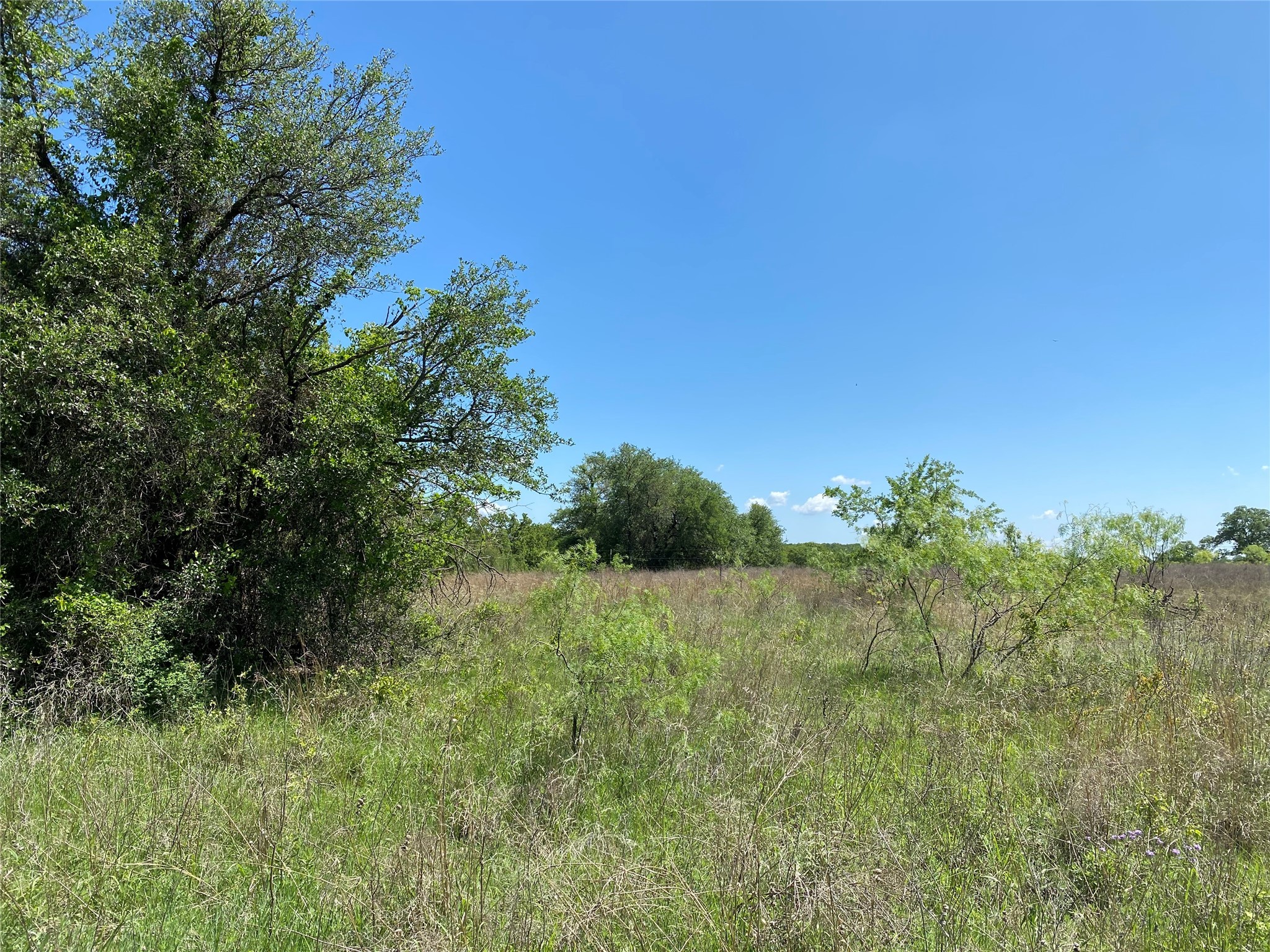 Tbd Miller Creek Lake Road Paradise TX 76073