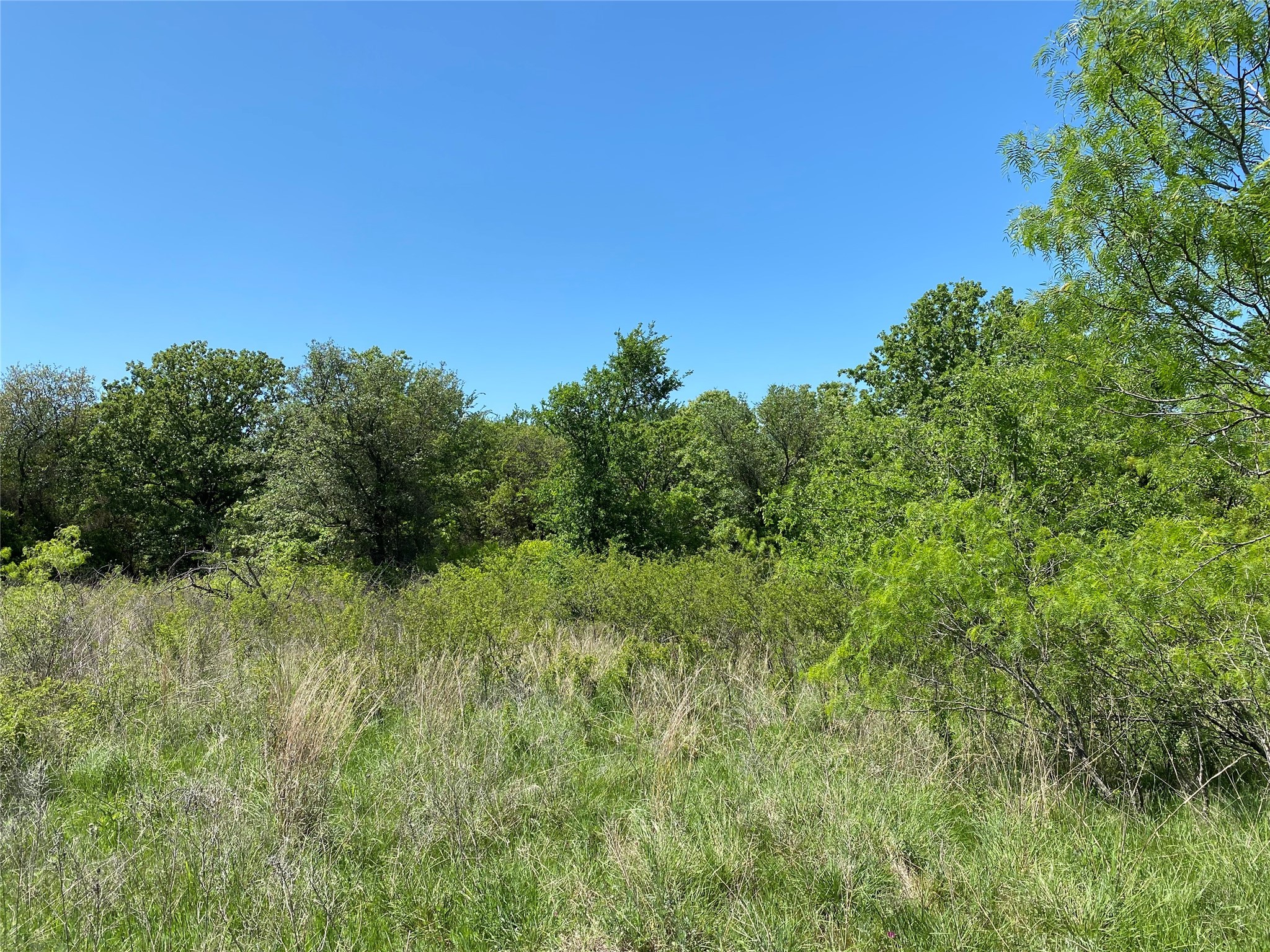 Tbd Miller Creek Lake Road Paradise TX 76073