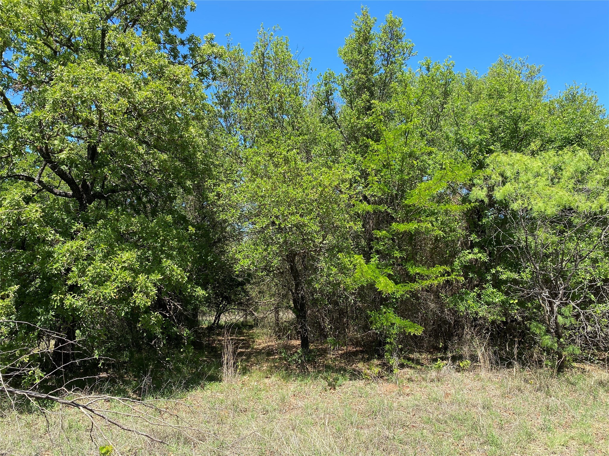 Tbd Miller Creek Lake Road Paradise TX 76073