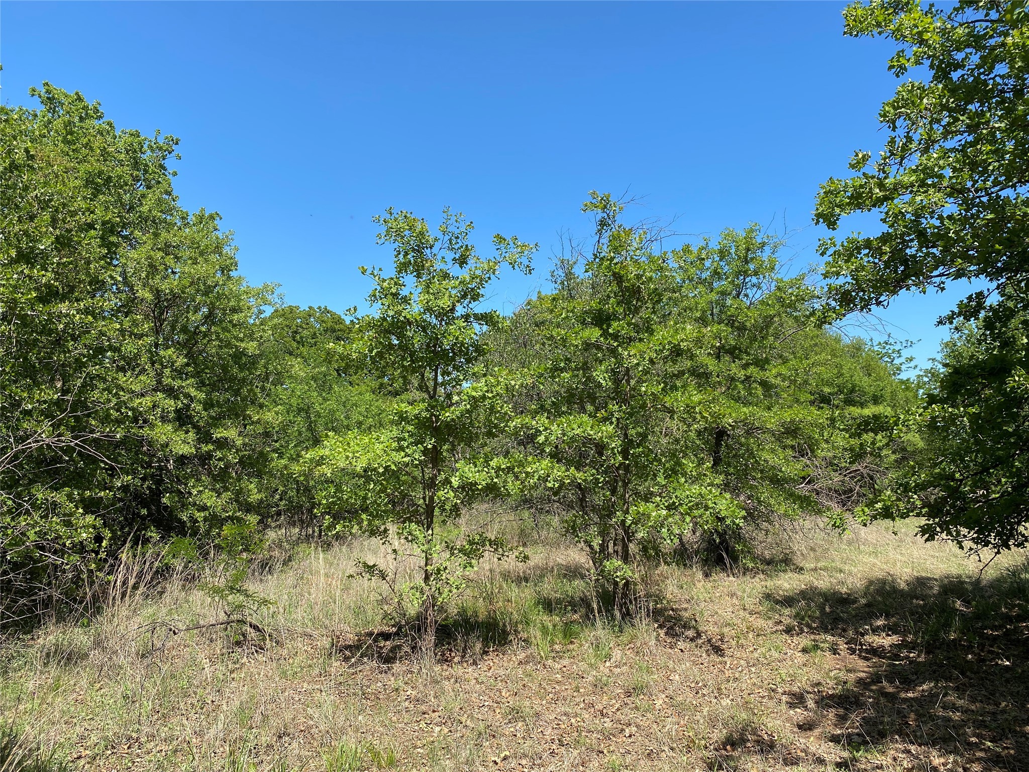Tbd Miller Creek Lake Road Paradise TX 76073