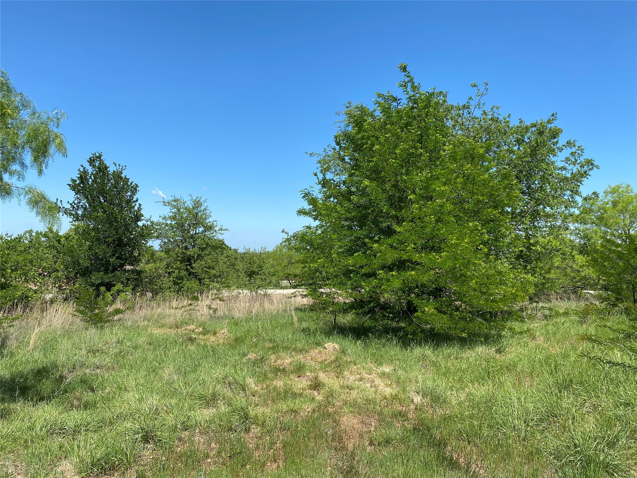 Tbd Miller Creek Lake Road Paradise TX 76073