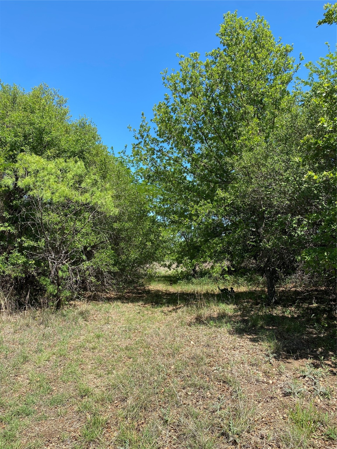 Tbd Miller Creek Lake Road Paradise TX 76073