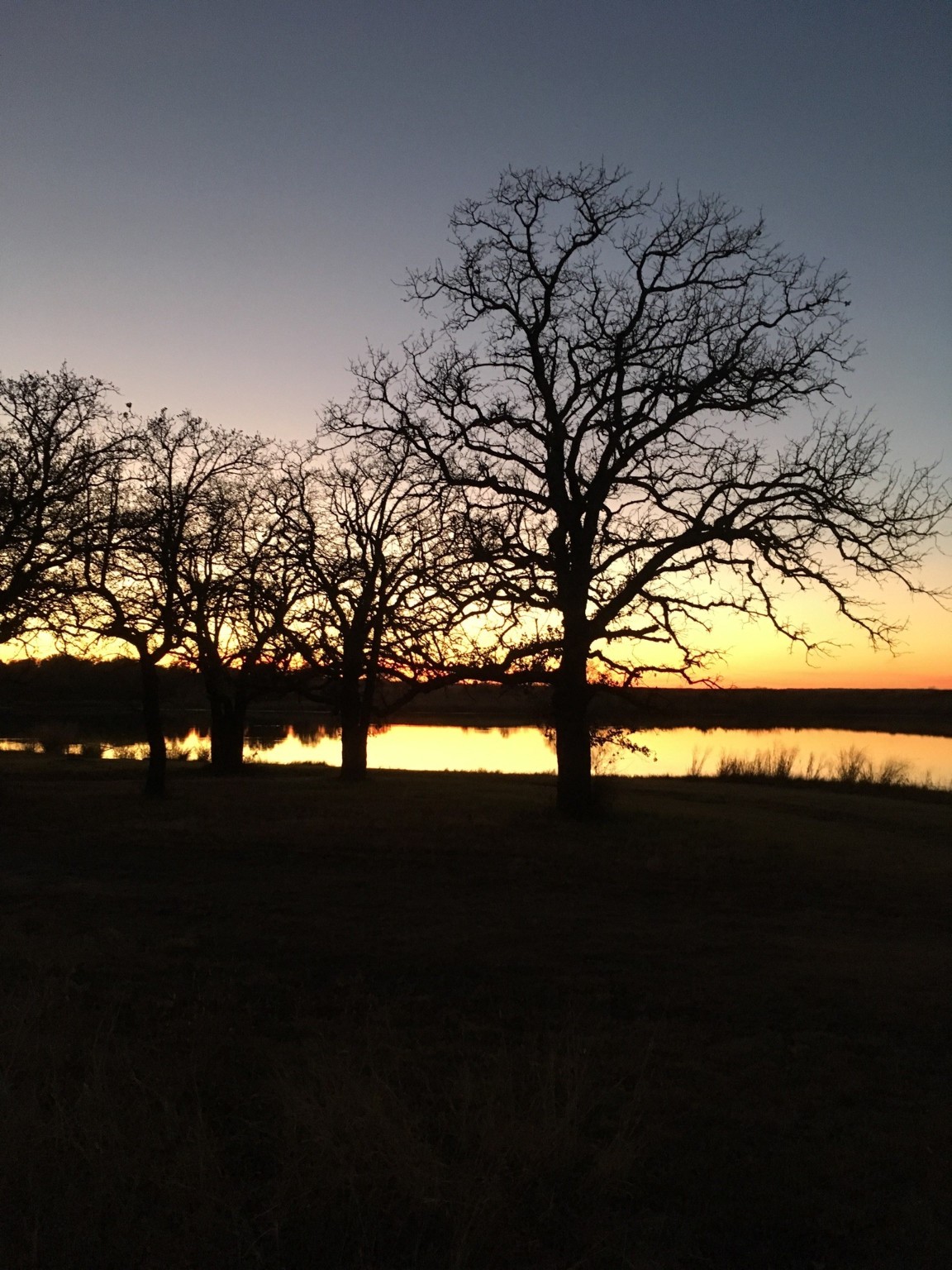 Tbd Miller Creek Lake Road Paradise TX 76073