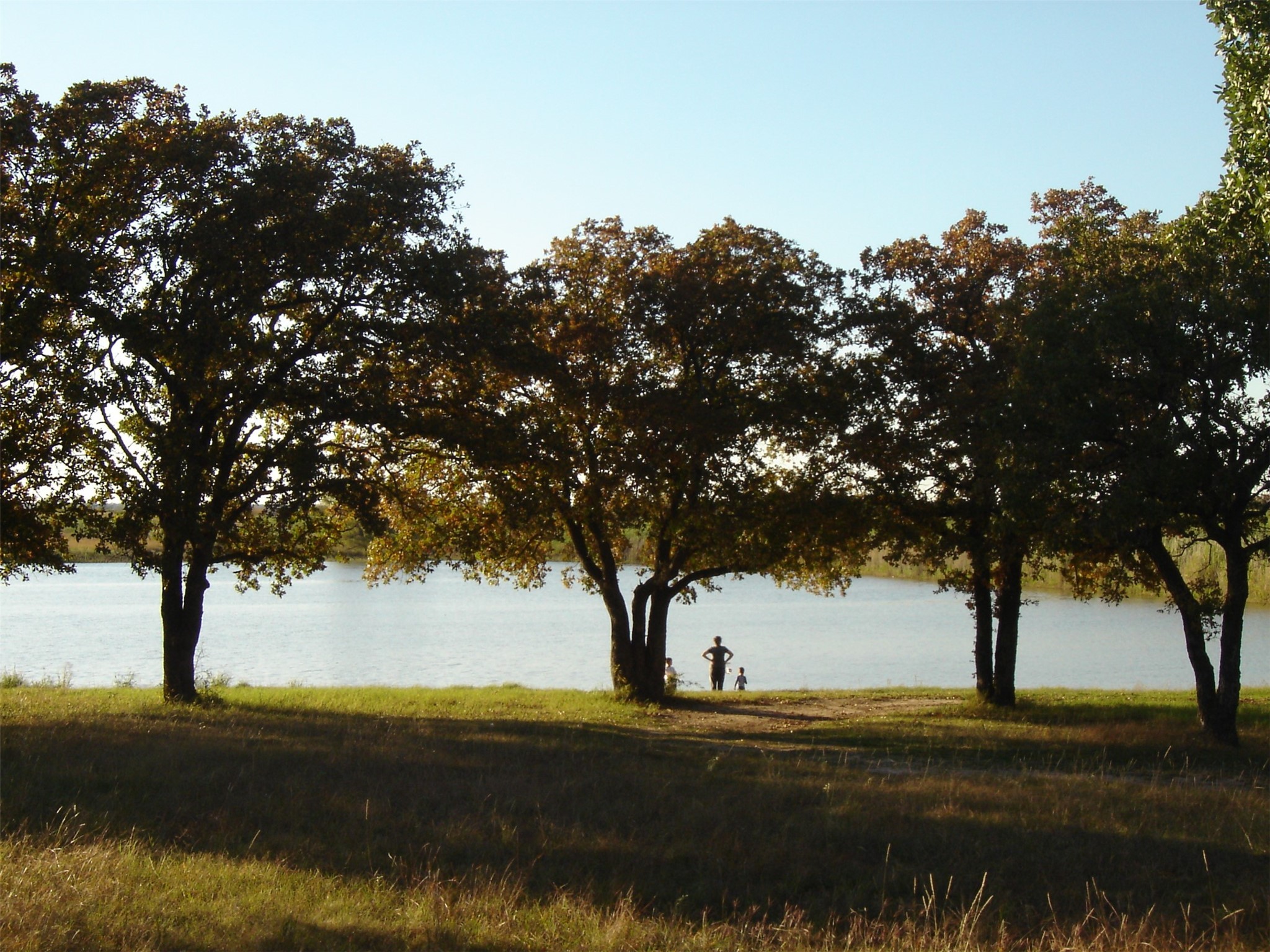 Tbd Miller Creek Lake Road Paradise TX 76073