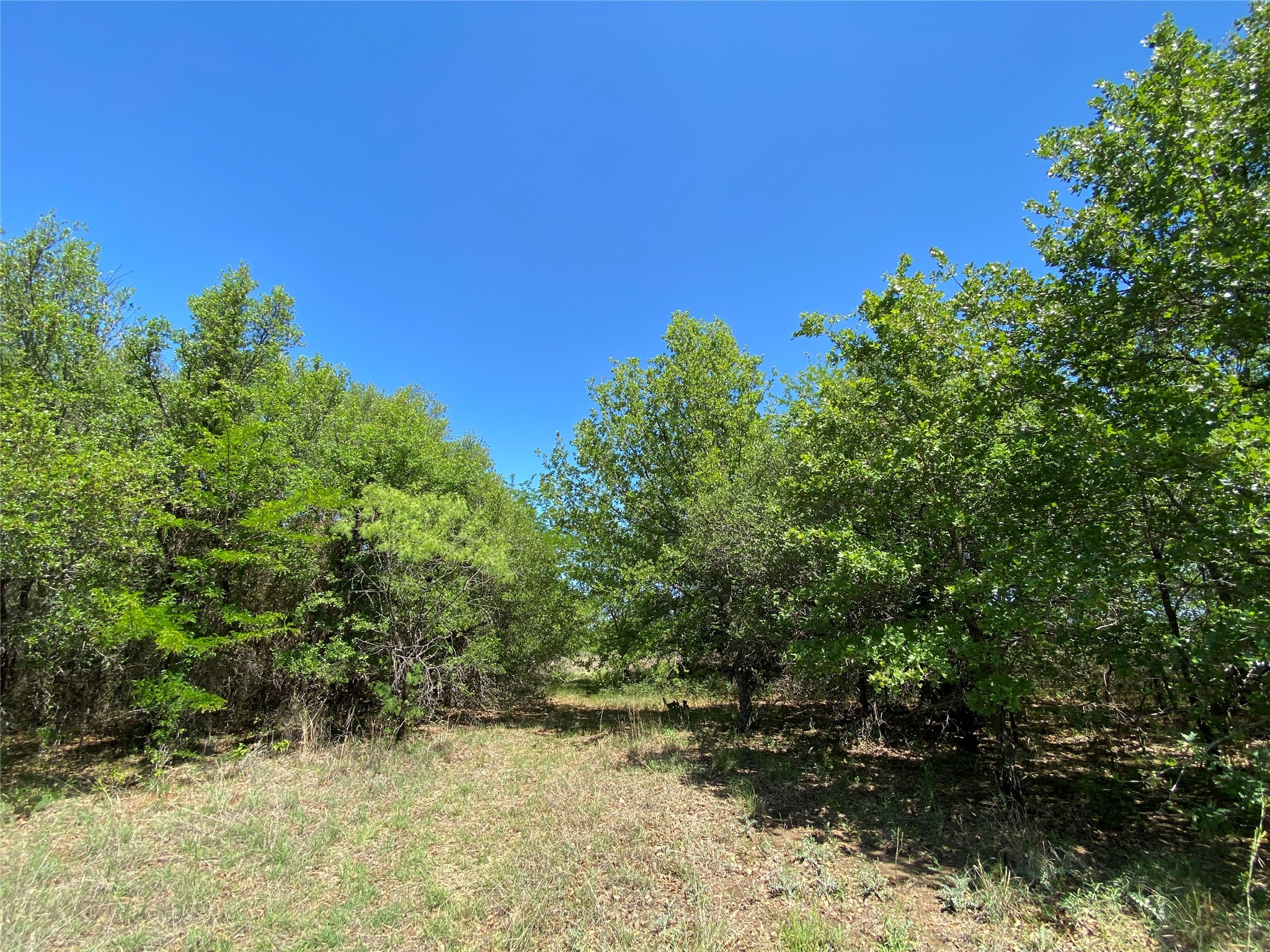 Tbd Miller Creek Lake Road Paradise TX 76073