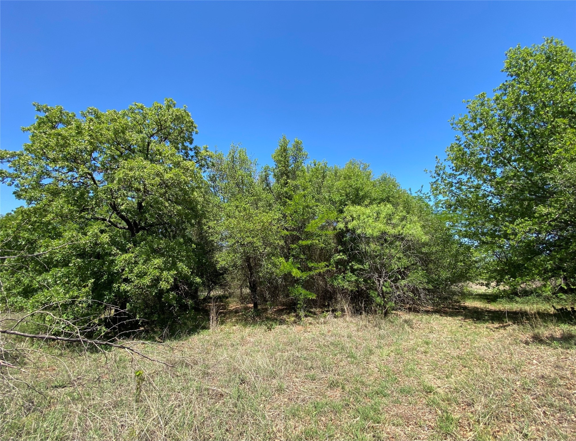 Tbd Miller Creek Lake Road Paradise TX 76073