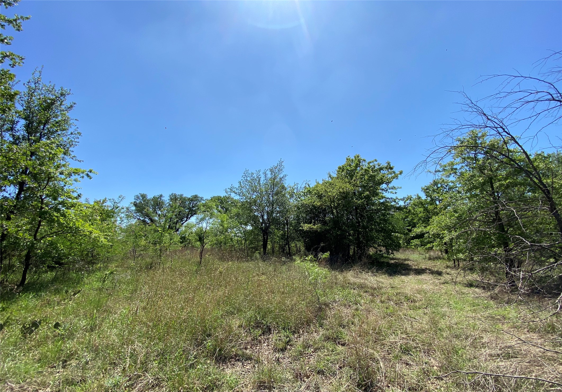 Tbd Miller Creek Lake Road Paradise TX 76073