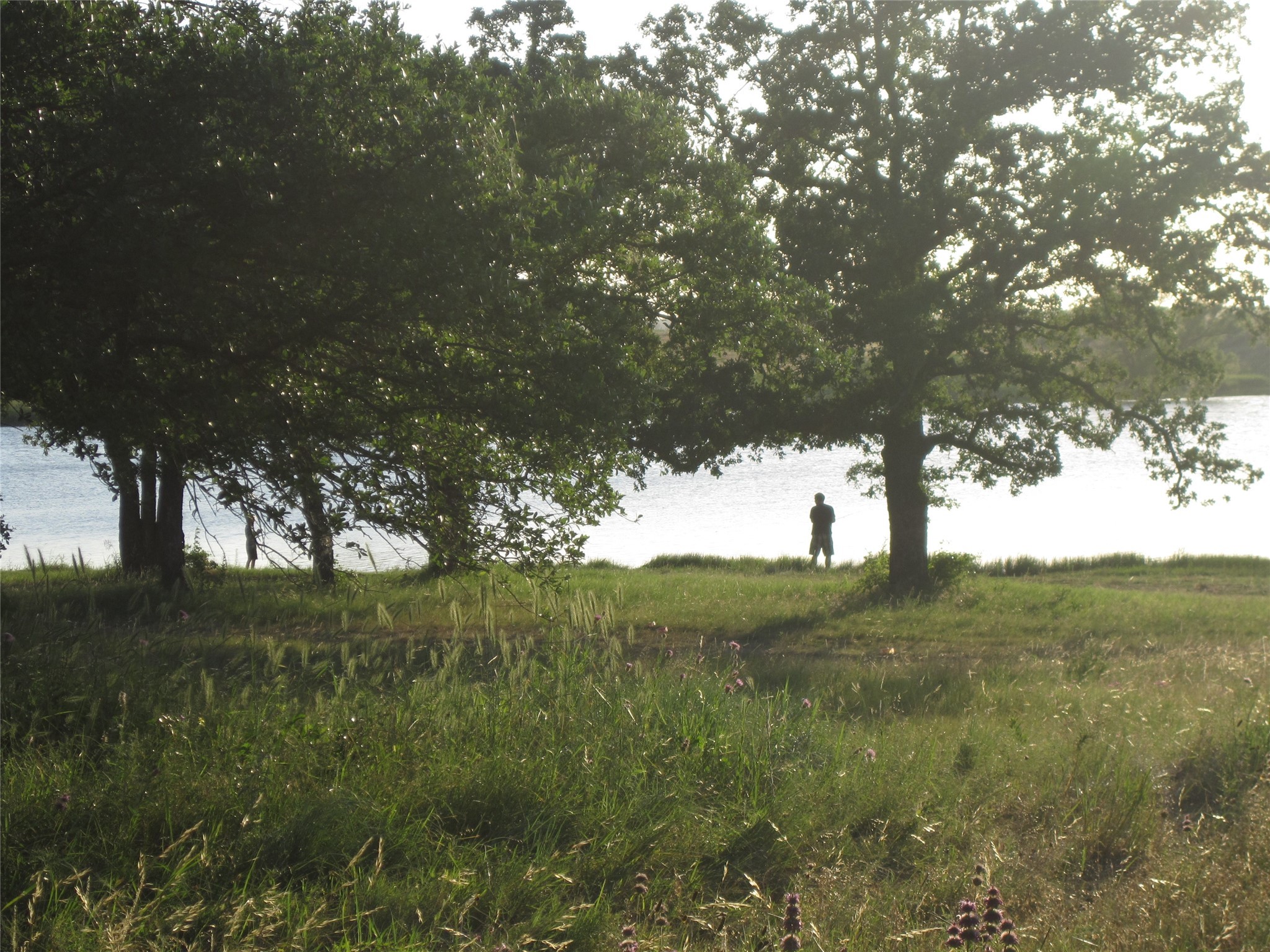 Tbd Miller Creek Lake Road Paradise TX 76073