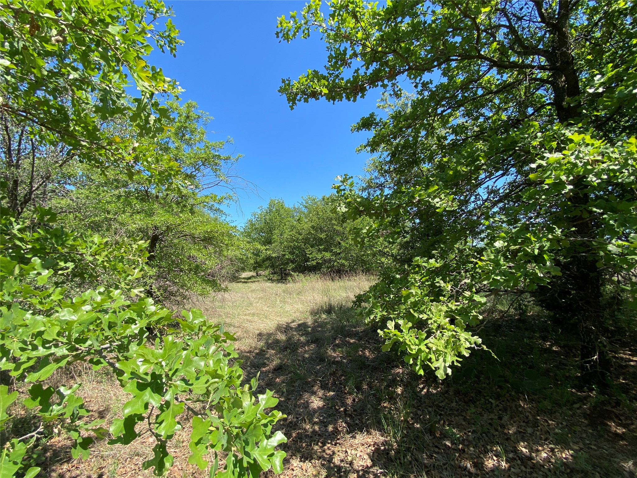 Tbd Miller Creek Lake Road Paradise TX 76073