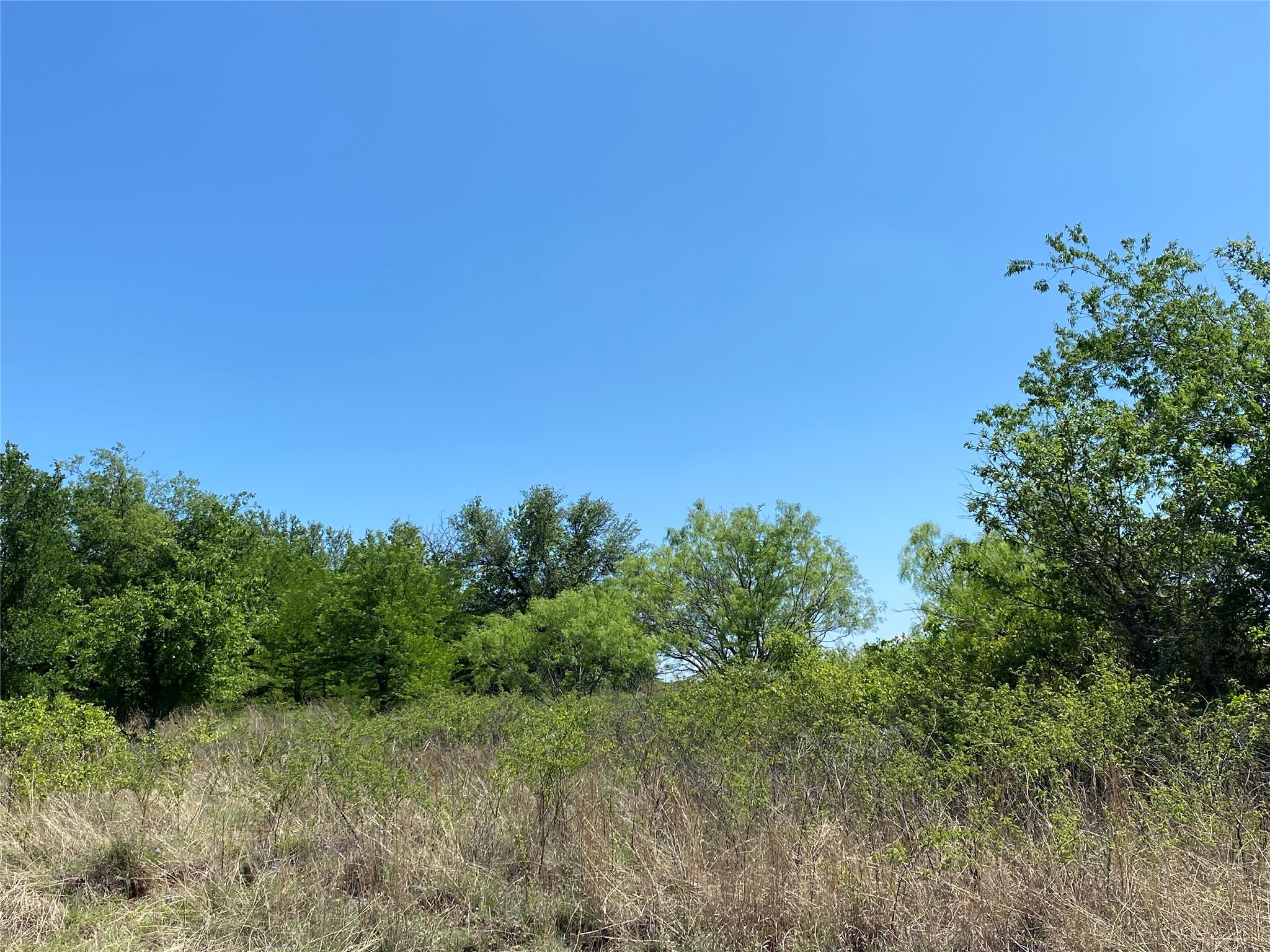Tbd Miller Creek Lake Road Paradise TX 76073