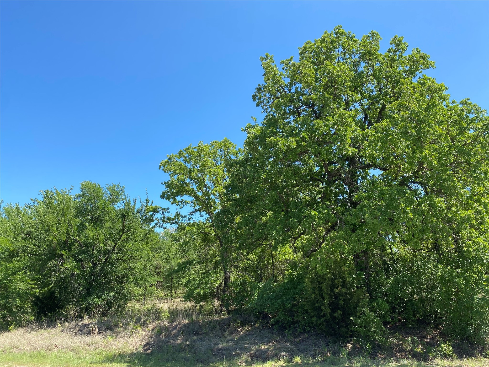 Tbd Miller Creek Lake Road Paradise TX 76073