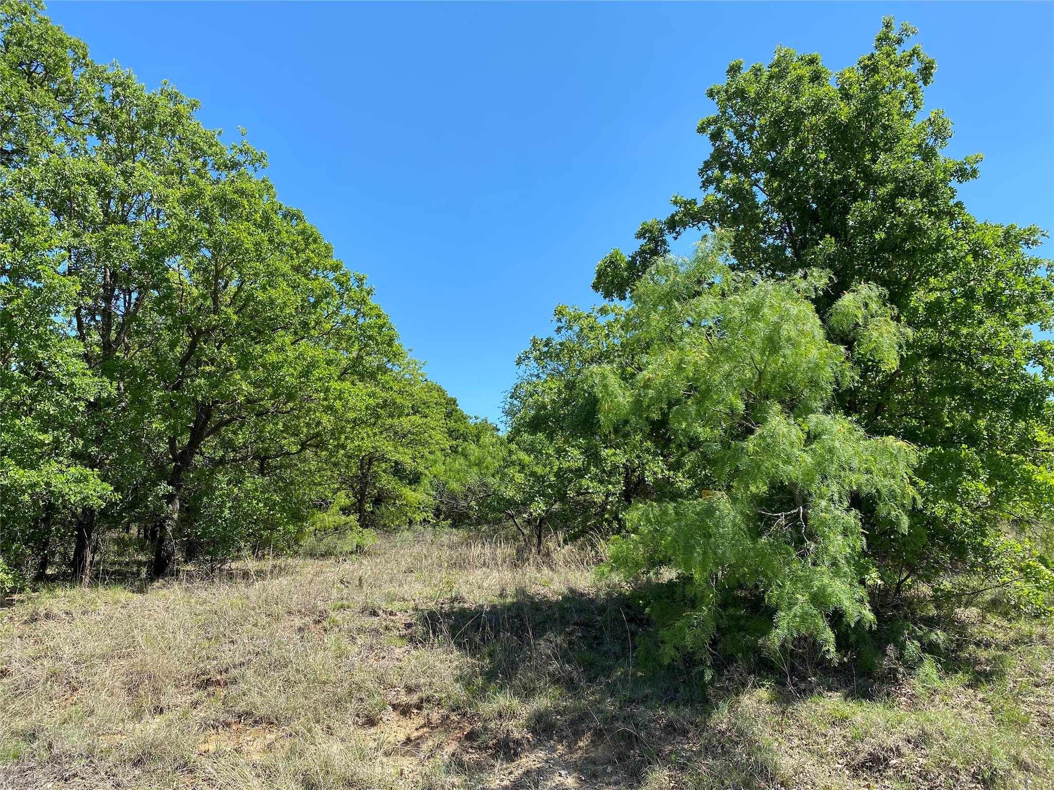 Tbd Miller Creek Lake Road Paradise TX 76073