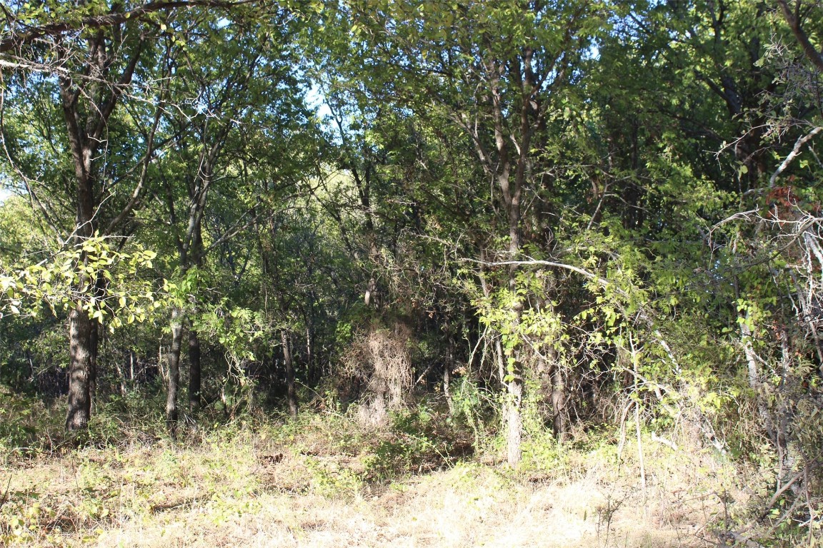 000 Eureka School Road Nocona TX 76255